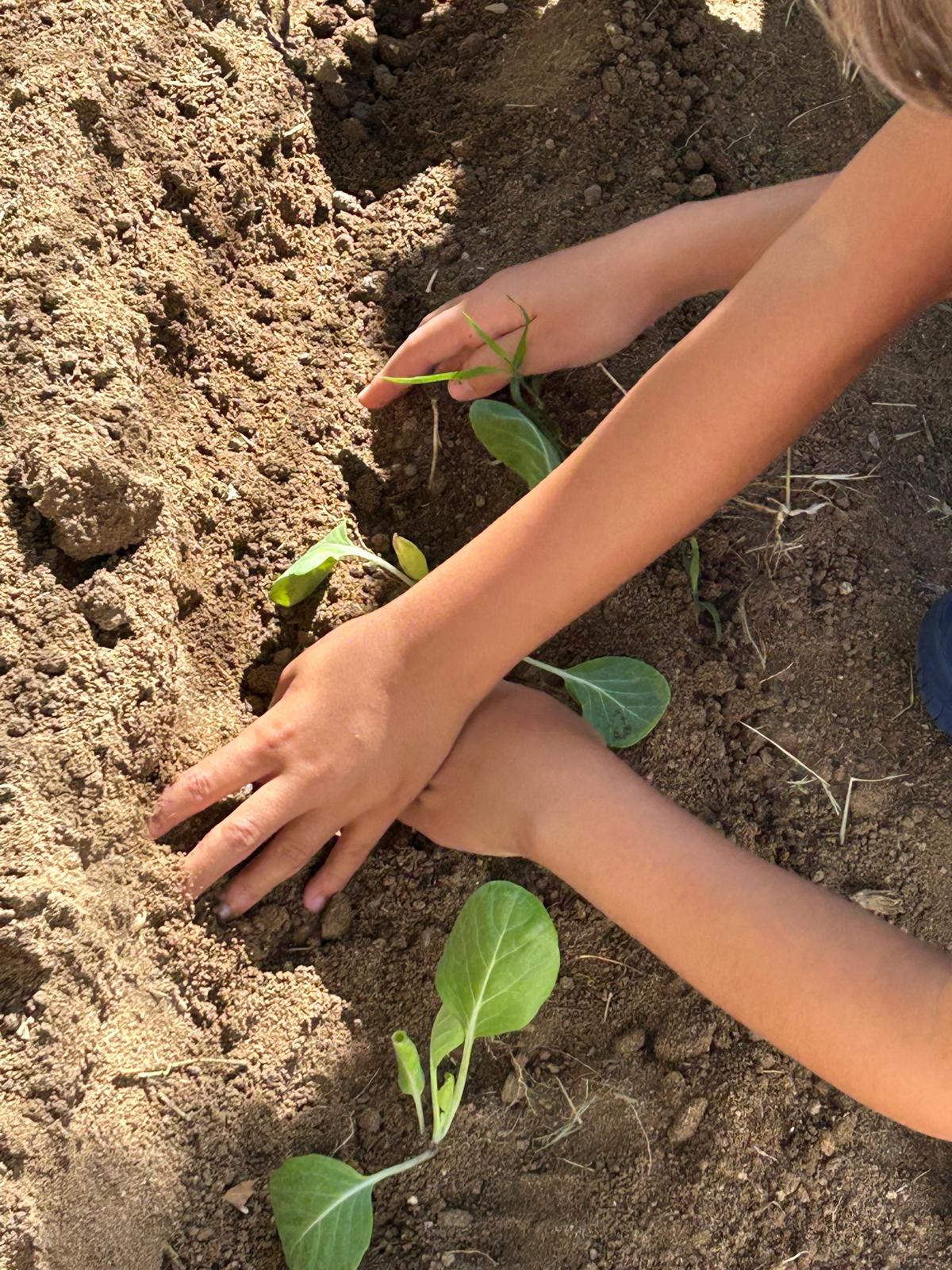 Mexer na terra que é tão bom