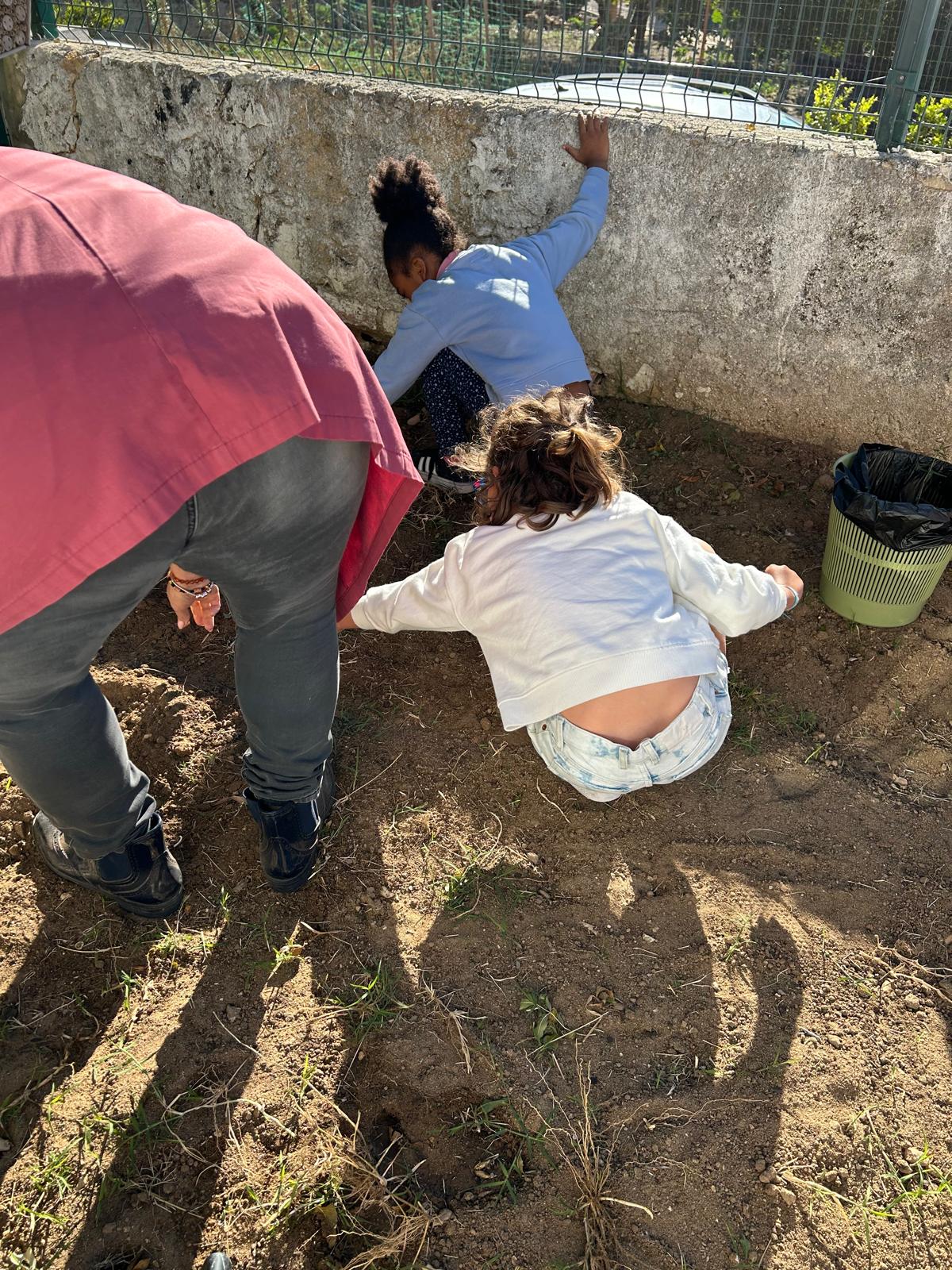 Retirar ervas daninhas