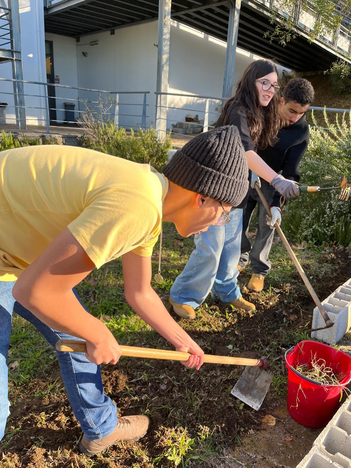 Remoção de ervas daninhas e revolvimento da terra para o futuro espaço da horta.