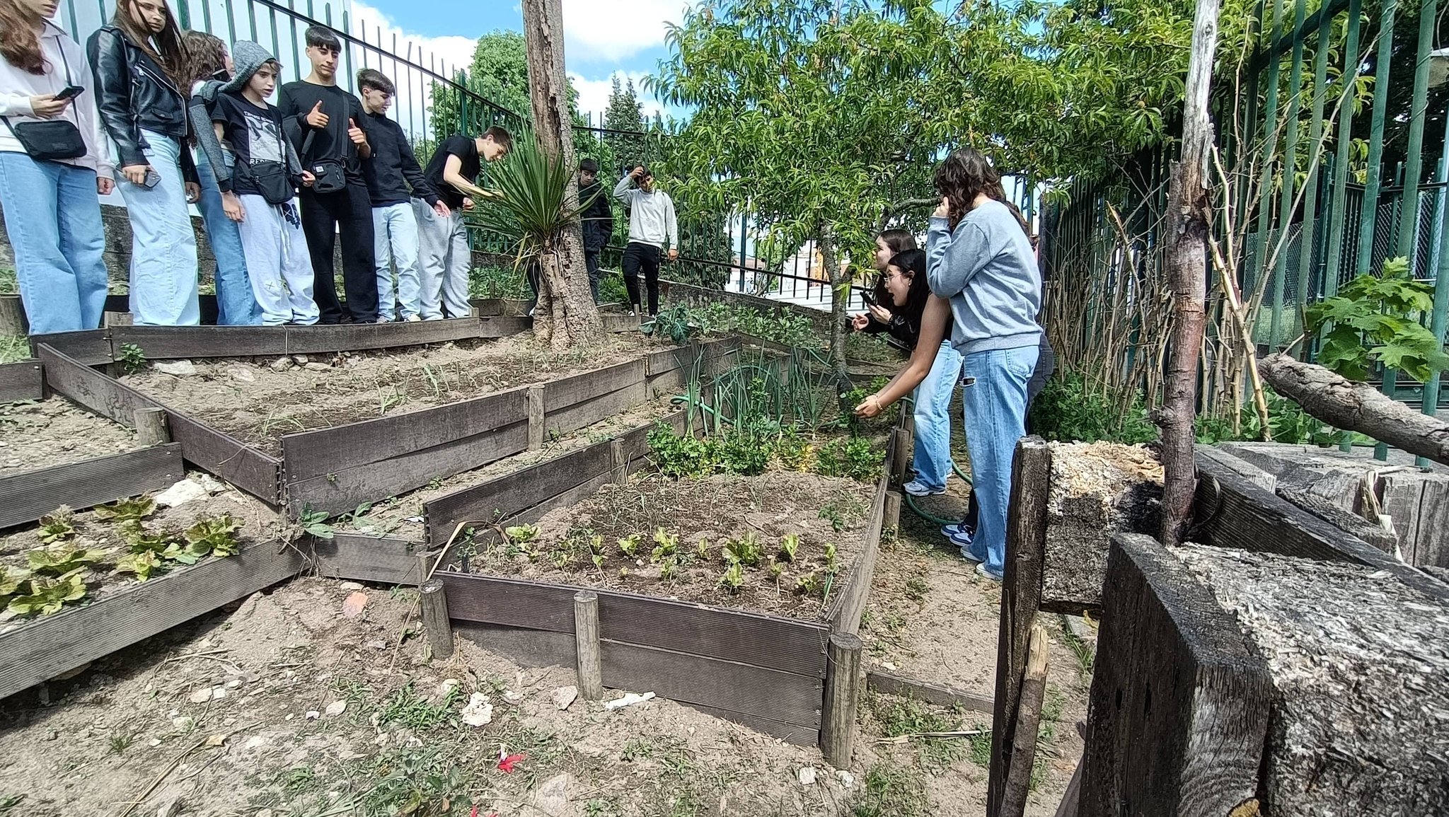 Trabalhos na Horta
(preparação do terreno para as culturas de primavera)
