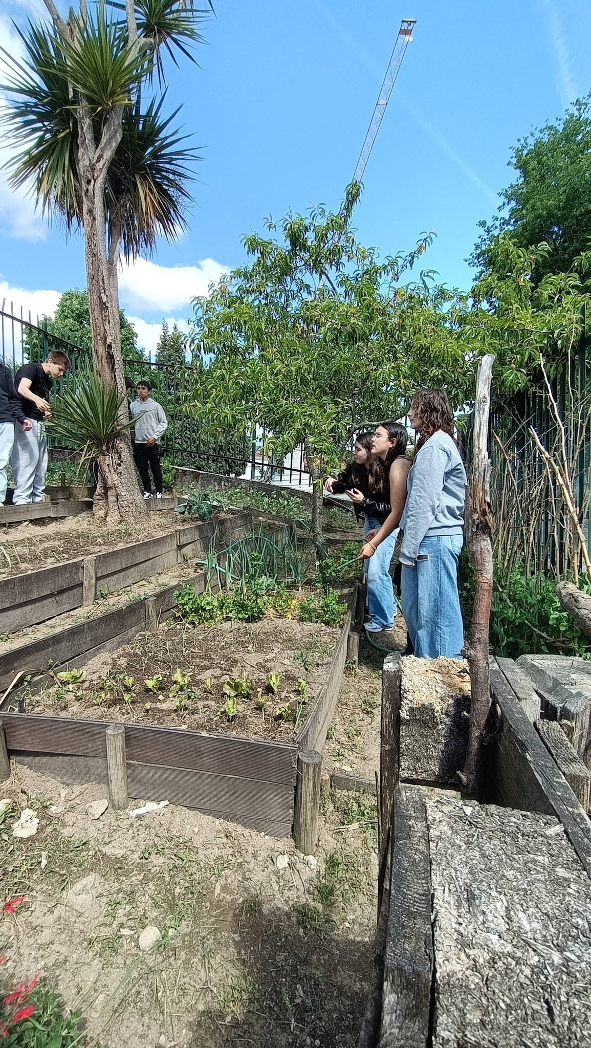 Trabalhos na Horta
(preparação do terreno para as culturas de primavera)