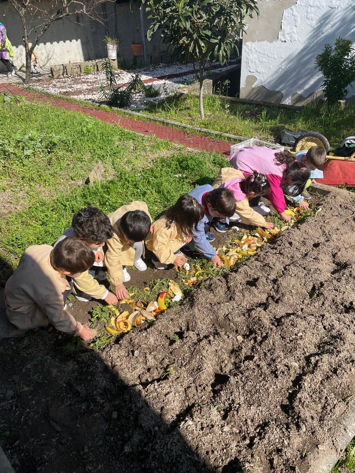 Uso de compostagem para fertilização do solo
