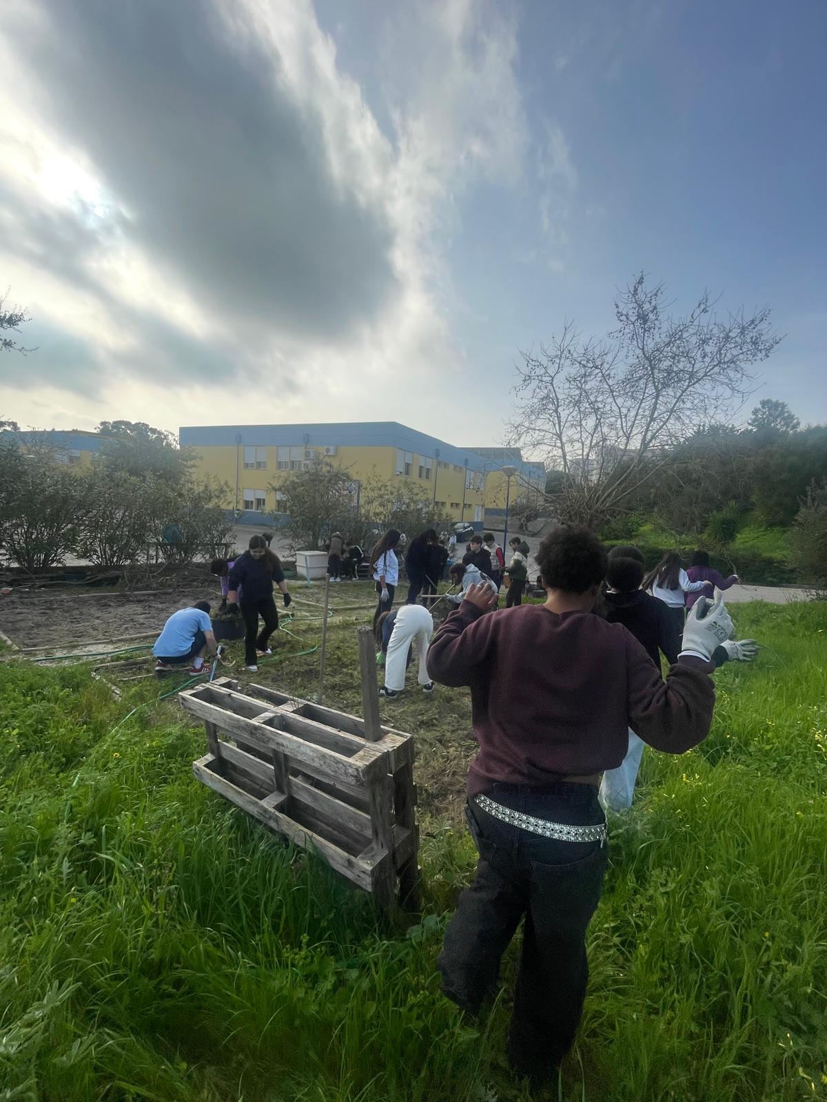 Turma 7D na limpeza da horta, disciplina Cidadania e Desenvolvimento