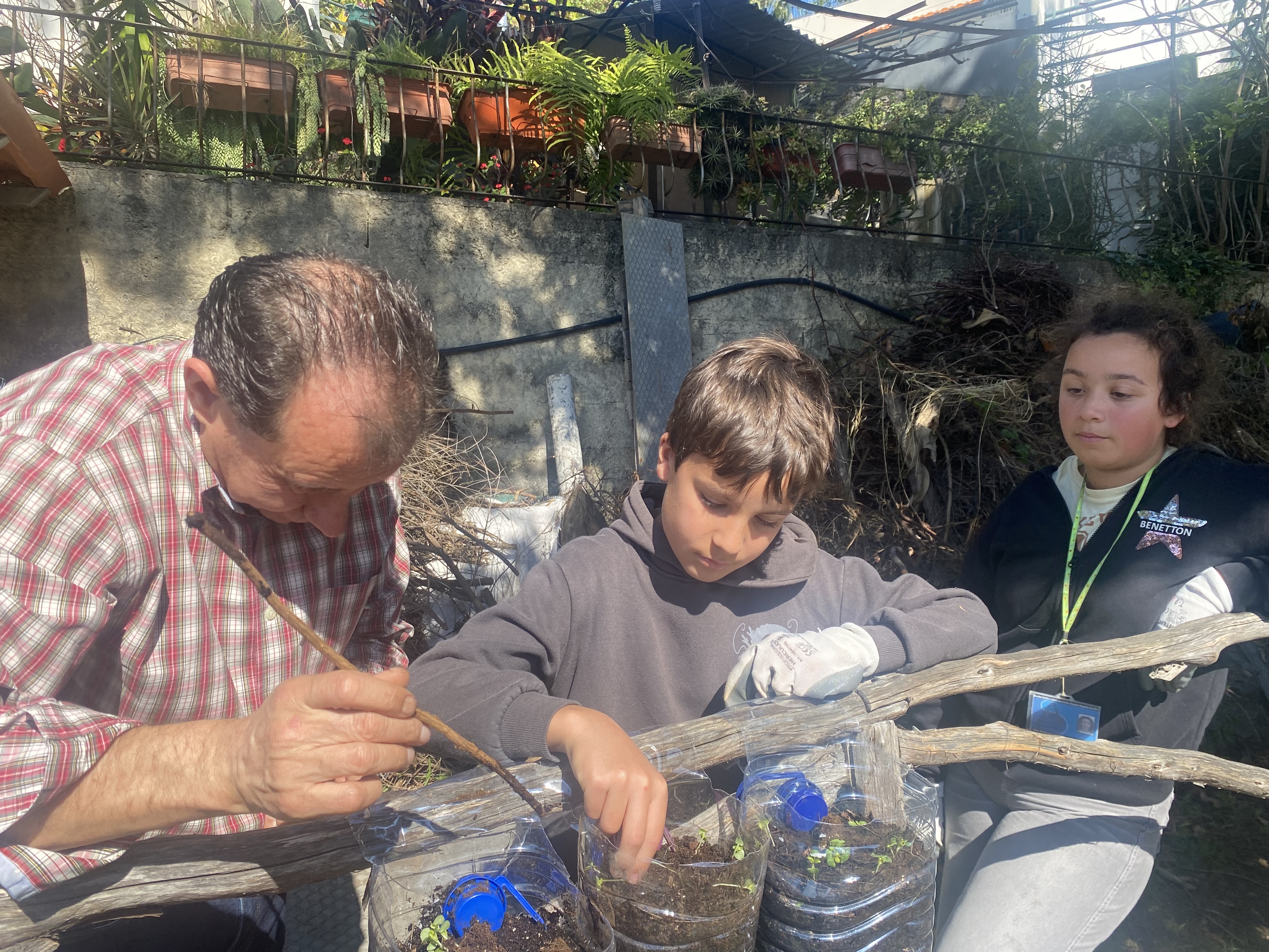 Preparação de vasos com garrafões de água e plantação de manjericão pelos alunos do Projeto CultivArte.