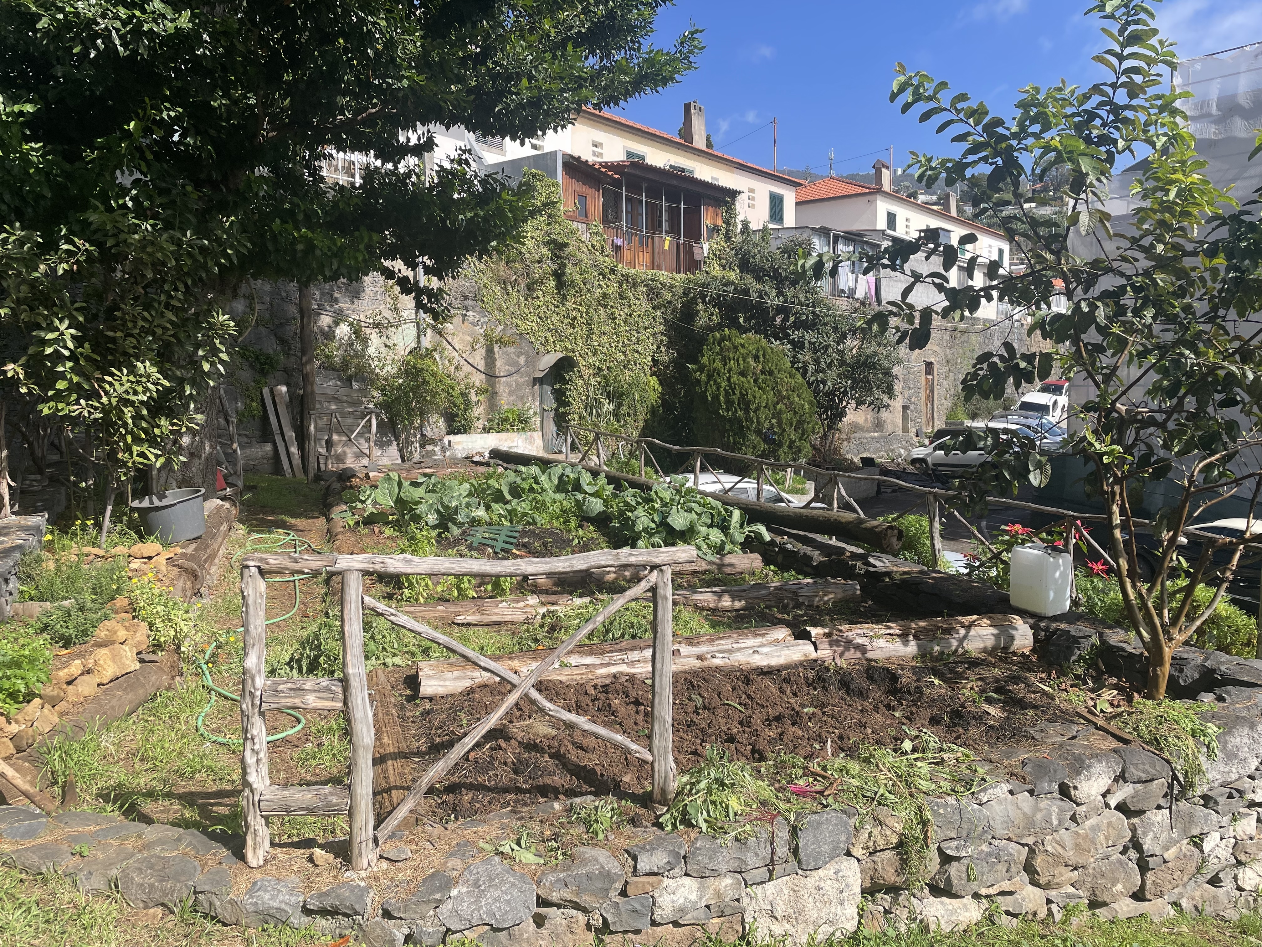 Remoção de antigas culturas e preparação do solo para receber novas plantas.