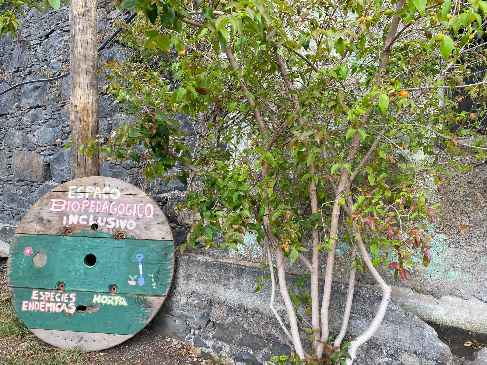 Placa identificativa da horta Bio da escola (Espaço Bio-Pedagógico Inclusivo e Jardim Endémico) colocada na entrada da mesma.