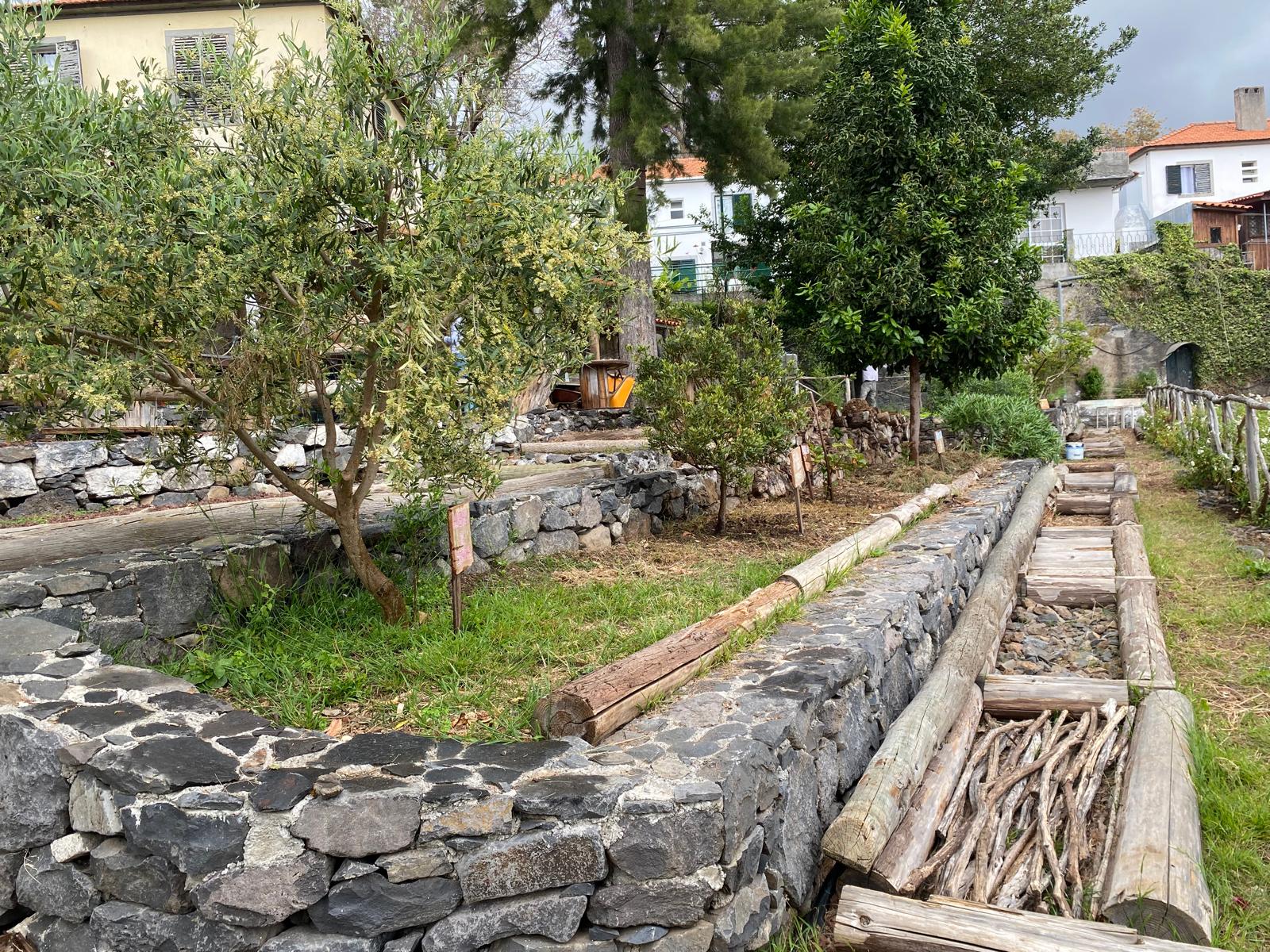 Vista geral do Jardim Endémico que faz parte da horta Bio, captando também parte do "percurso dos pés descalços".