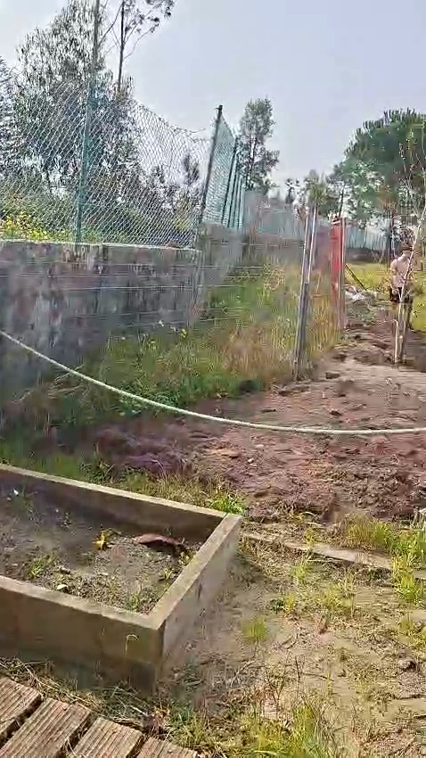 Foto 1 - Horta em janeiro/fevereiro
