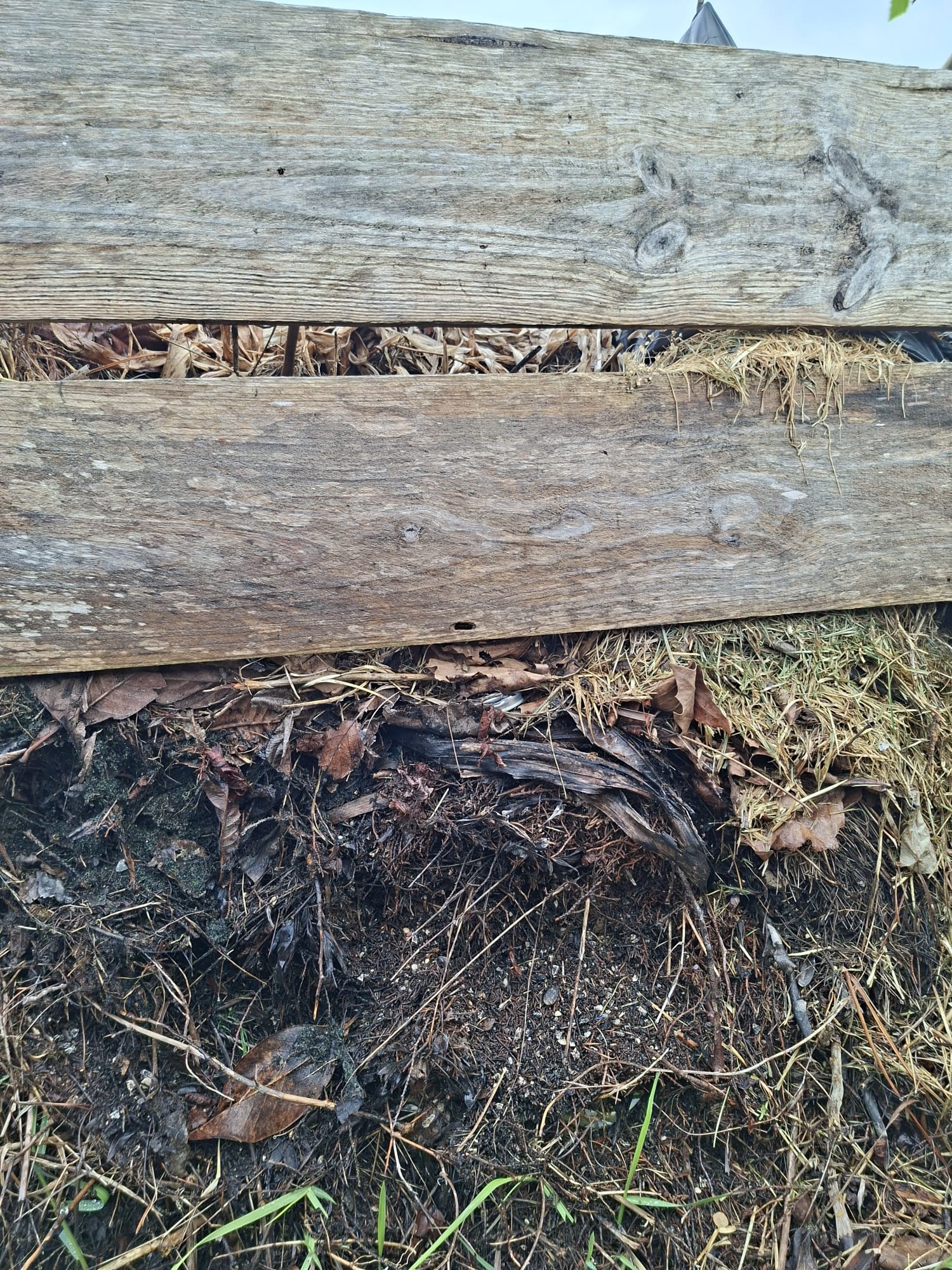 Foto 5 - Compostor