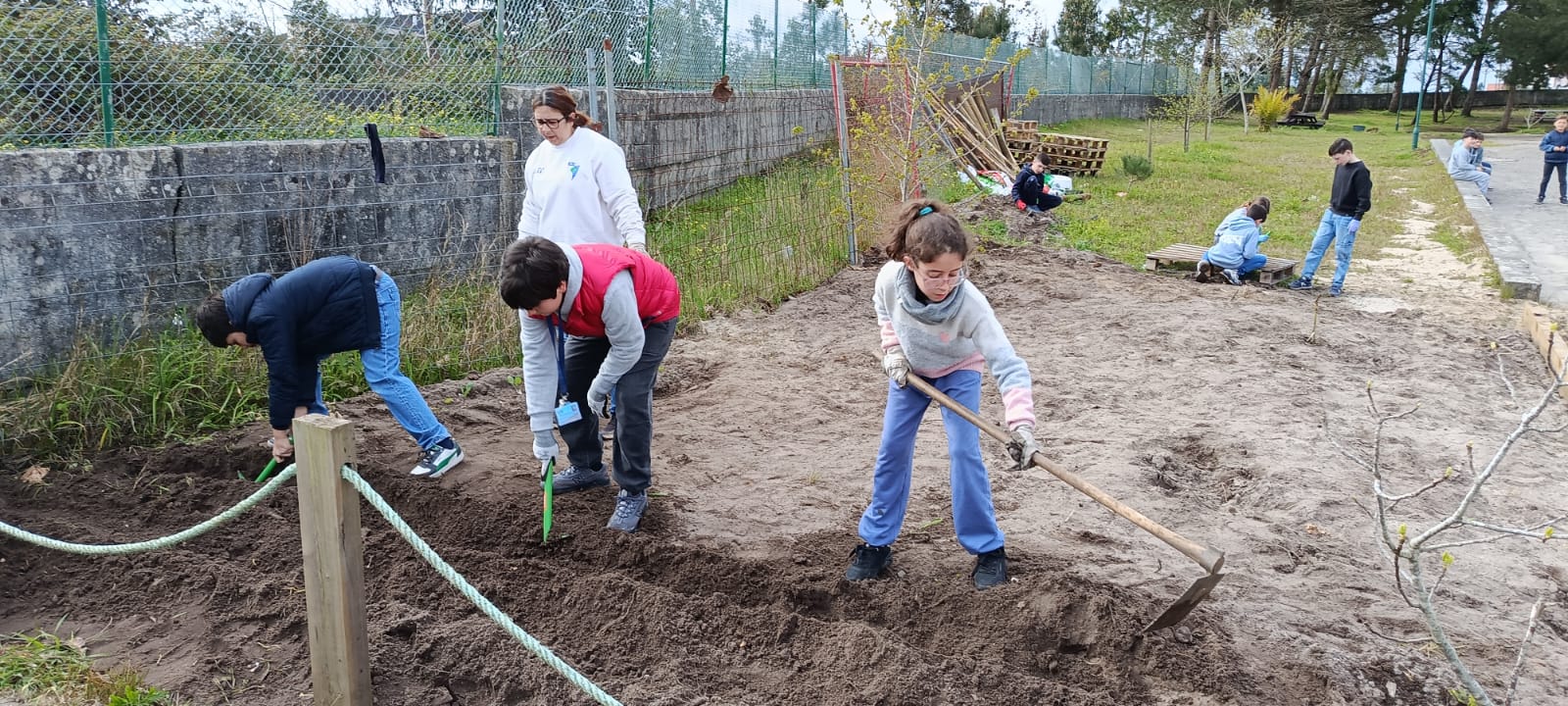 Foto 6 - Preparação do solo e organização do espaço de cultivo