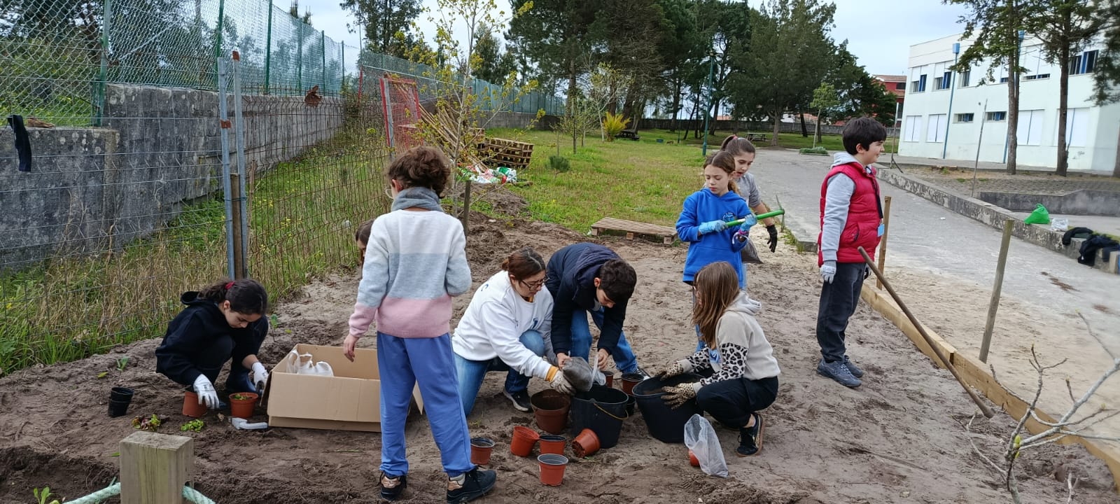 Foto 4 - Preparação das primeiras sementeiras/plantações e organização das culturas.