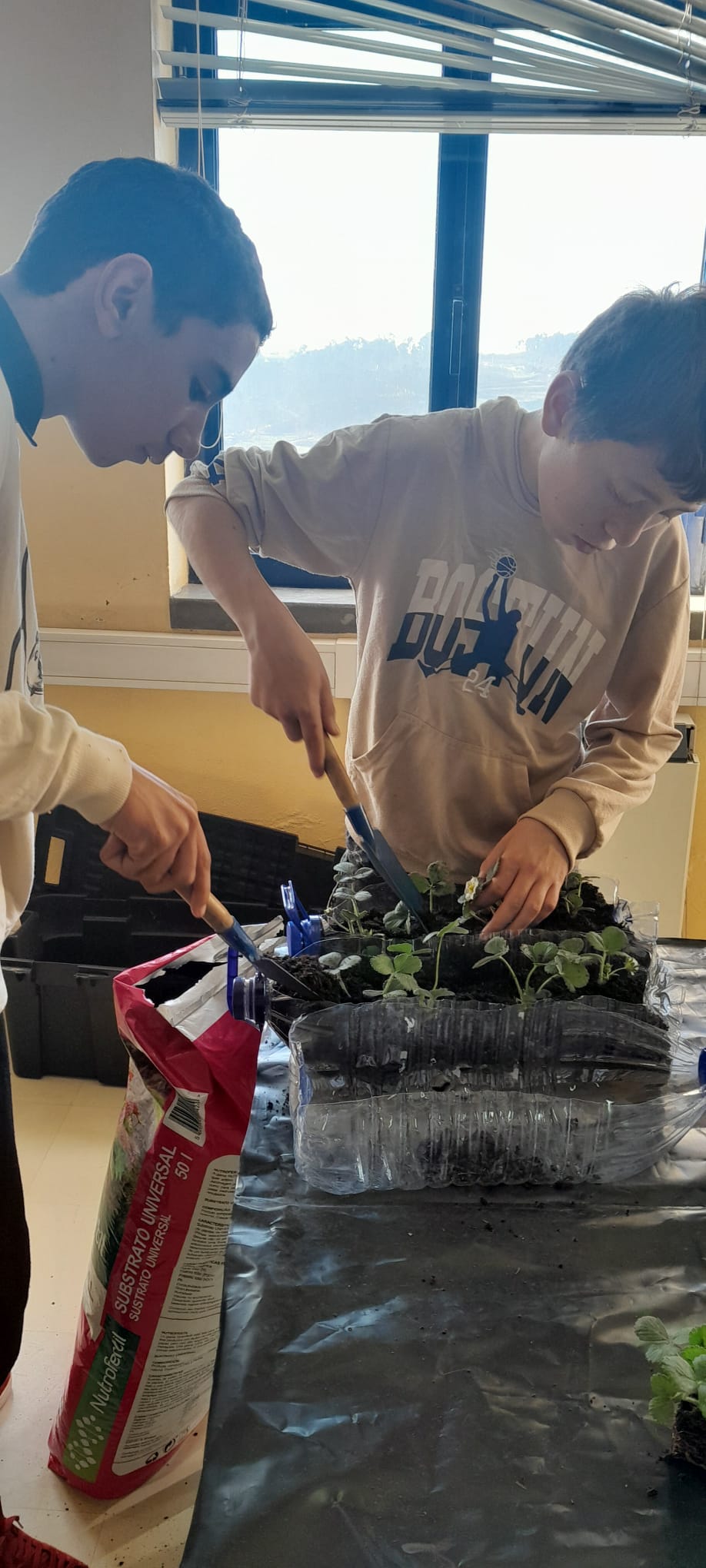 Devido às condições climatéricas de janeiro e fevereiro, realizámos sementeiras em sala de aula para posteriormente transplantar as plantas para a horta biológica. Alunos a preparar as sementeiras, organizando os recipientes e o solo.
