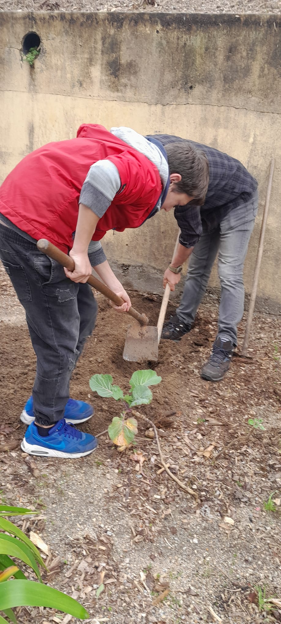 Construção e organização dos espaços da horta.