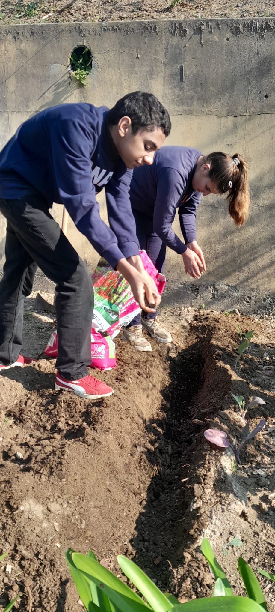 Alunos a preparar o solo para o cultivo, criando as condições adequadas para o crescimento saudável das plantas.