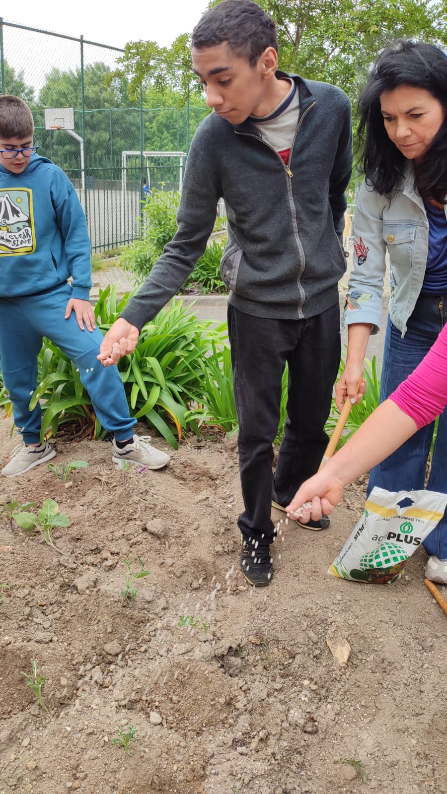 Alunos a adubar o solo da horta, enriquecendo a terra com nutrientes essenciais para o crescimento saudável das plantas.