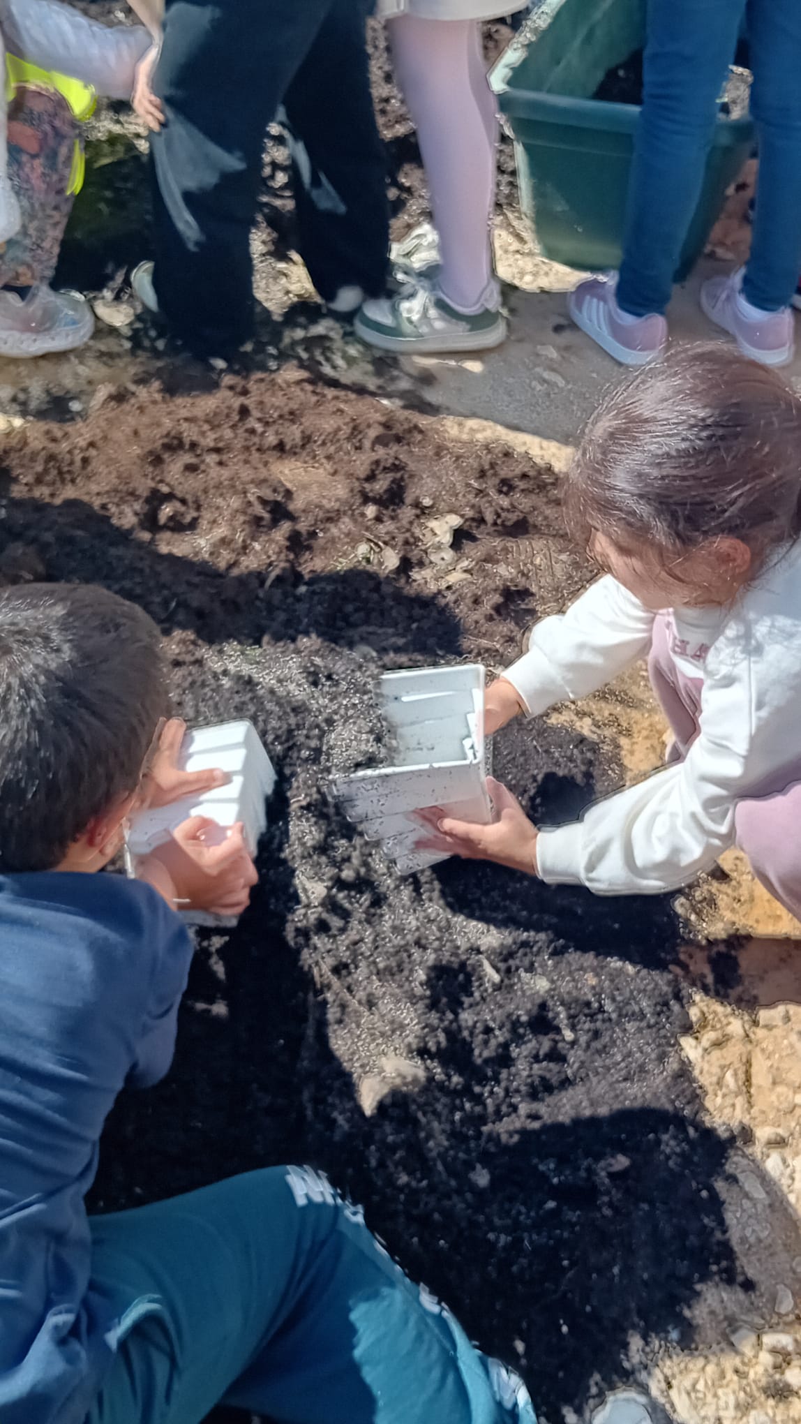 Alunos na sementeira1