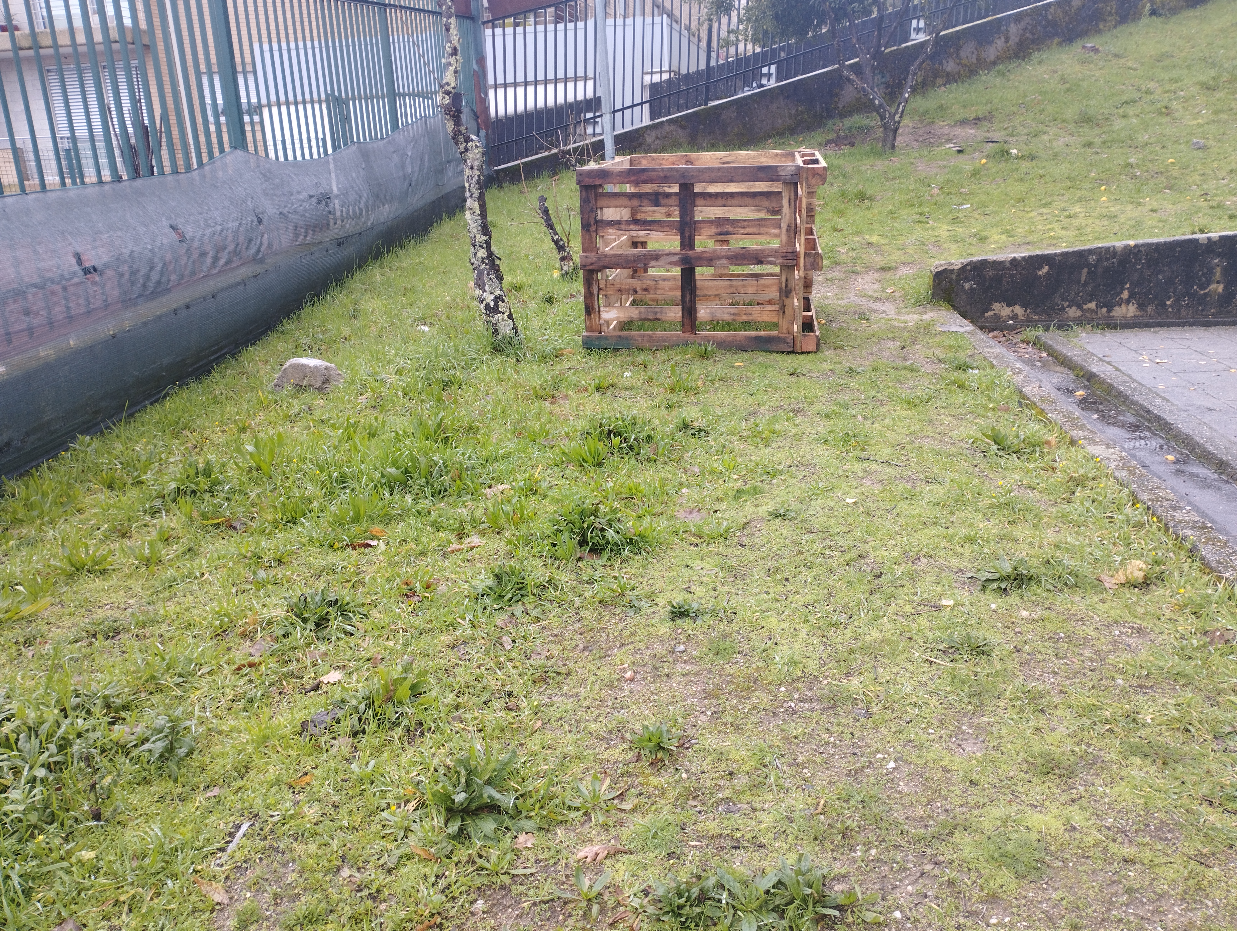 Terreno destinado à horta escolar.