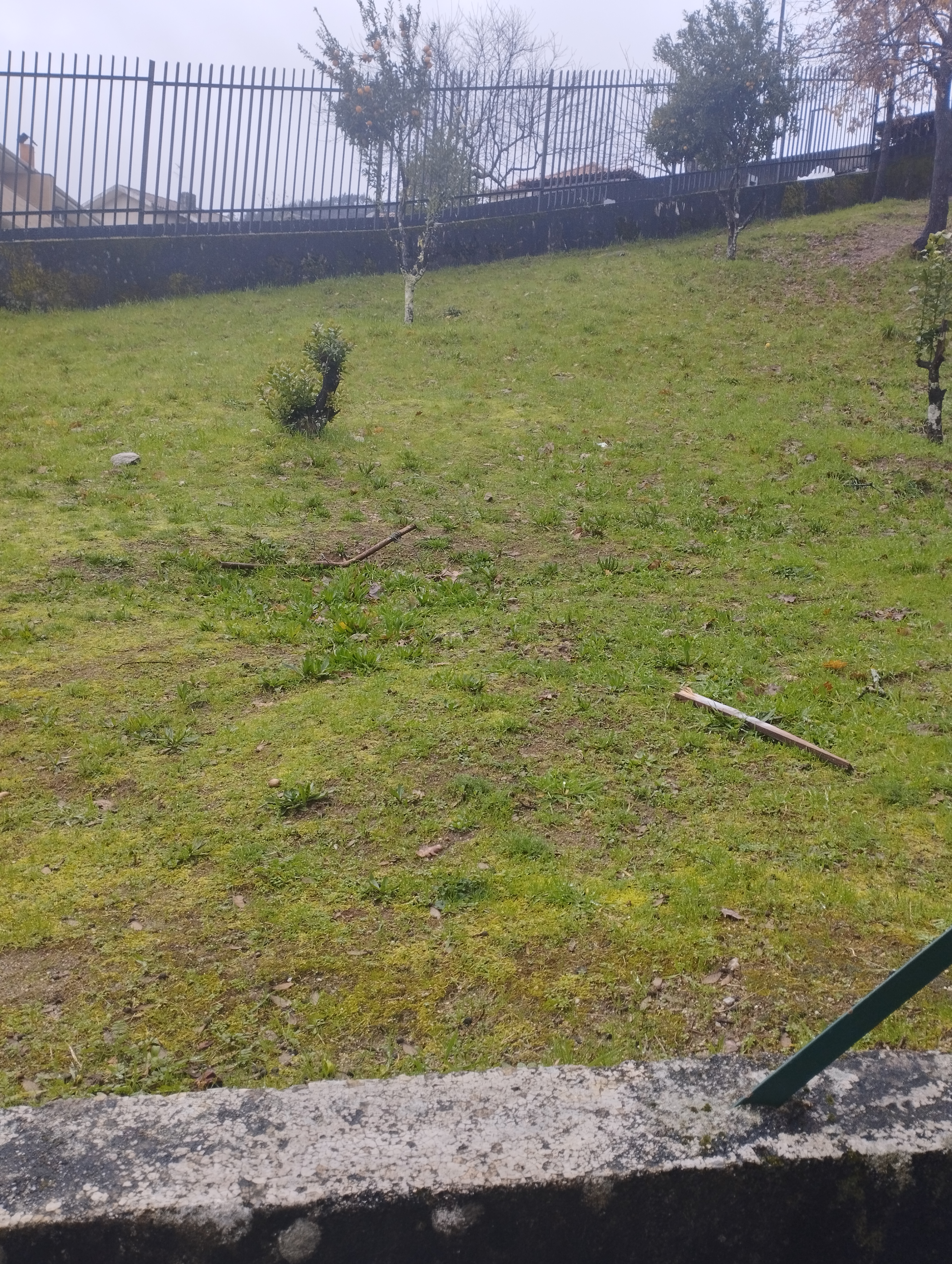 Área do recinto escolar onde será construída a estufa.