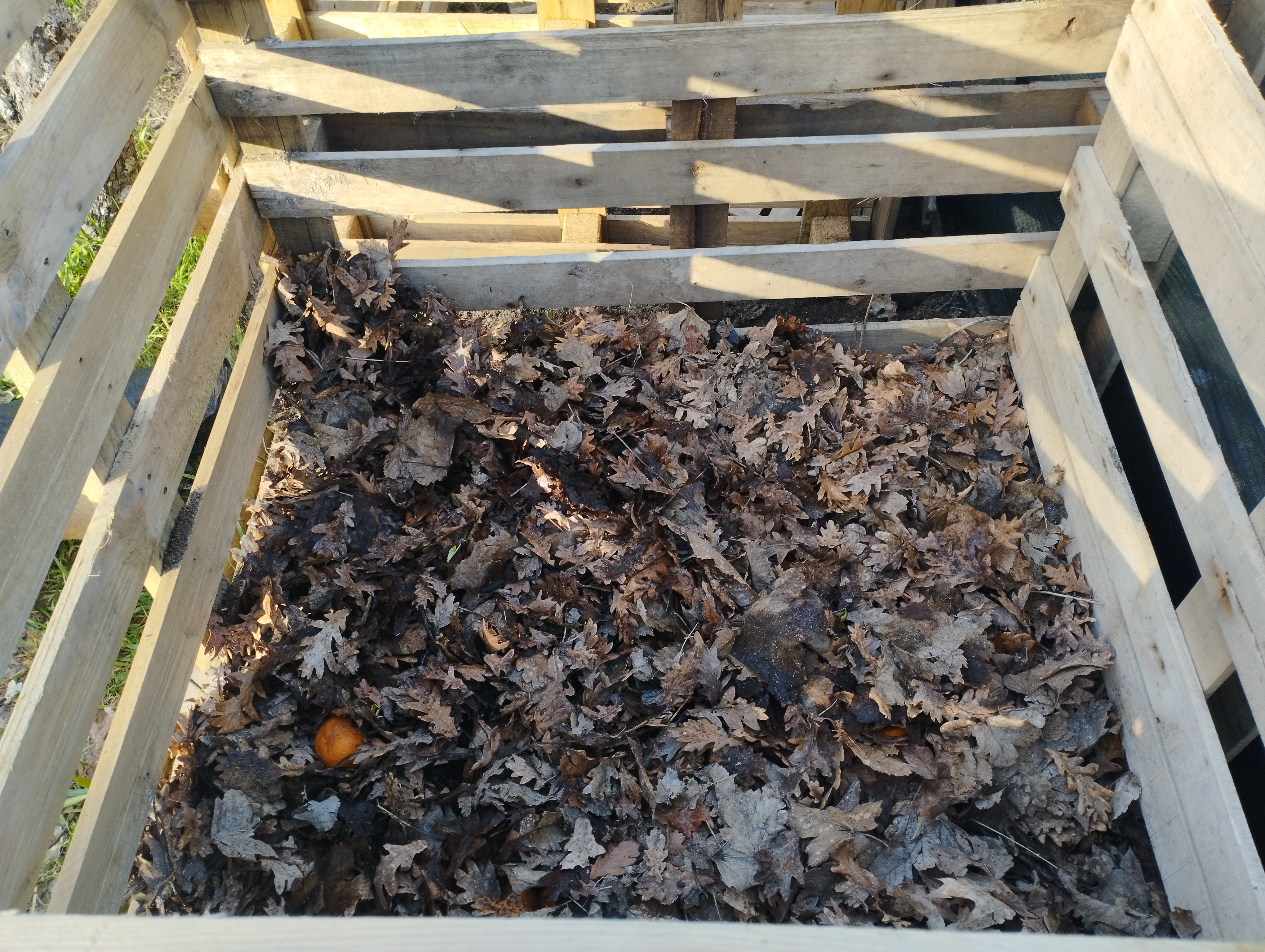 Compostores com resíduos orgânicos, resultante de restos vegetais e outros resíduos naturais, destinado à produção de composto para enriquecimento do solo da horta.