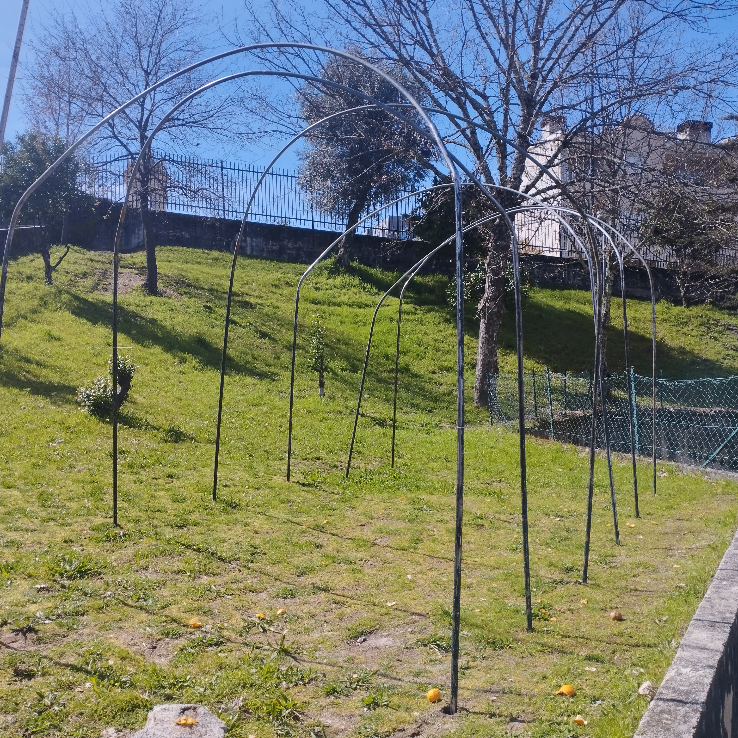 Fase inicial da construção da estufa, onde a estrutura metálica já se encontra montada.