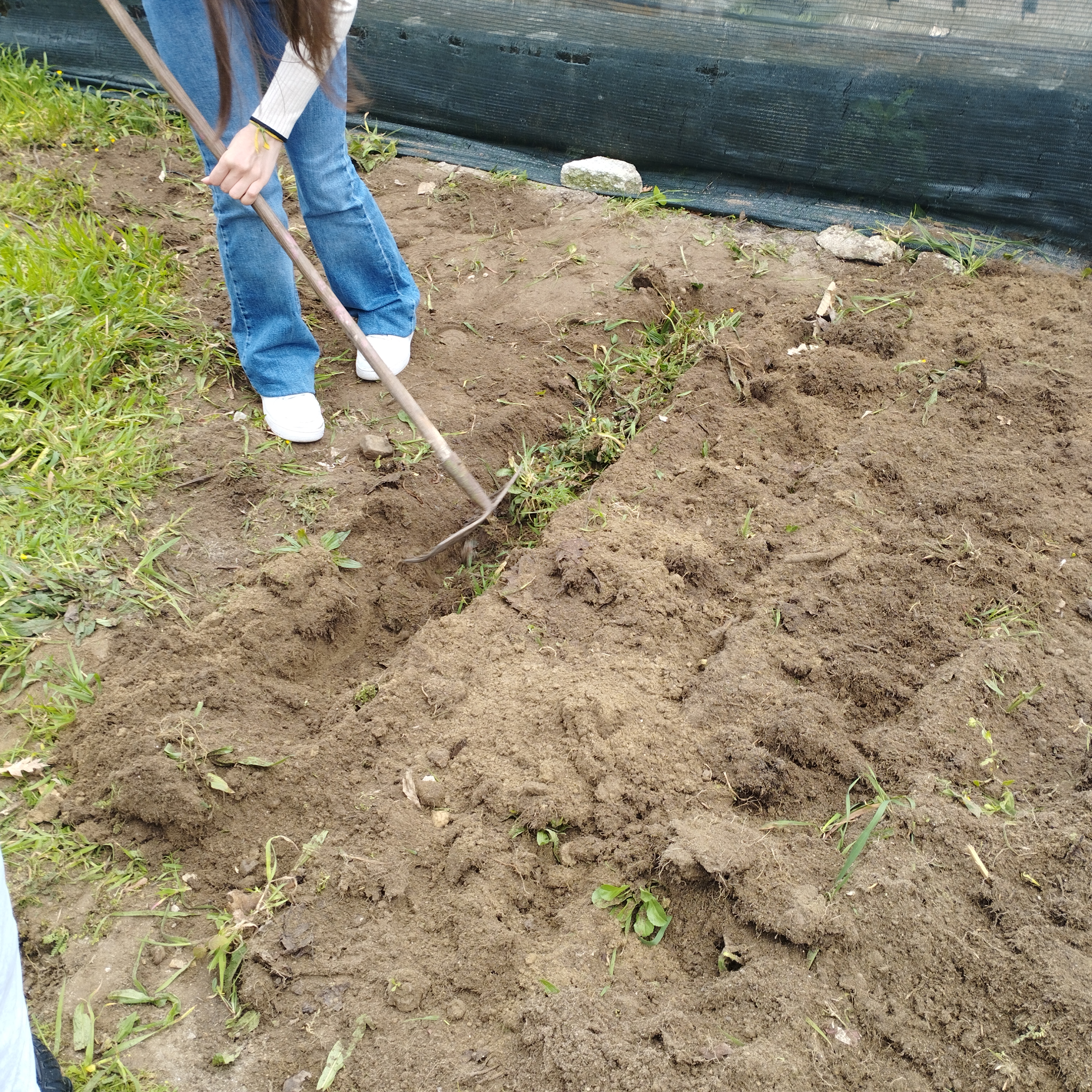 Terreno da horta a ser preparado para a plantação de plantas aromáticas.