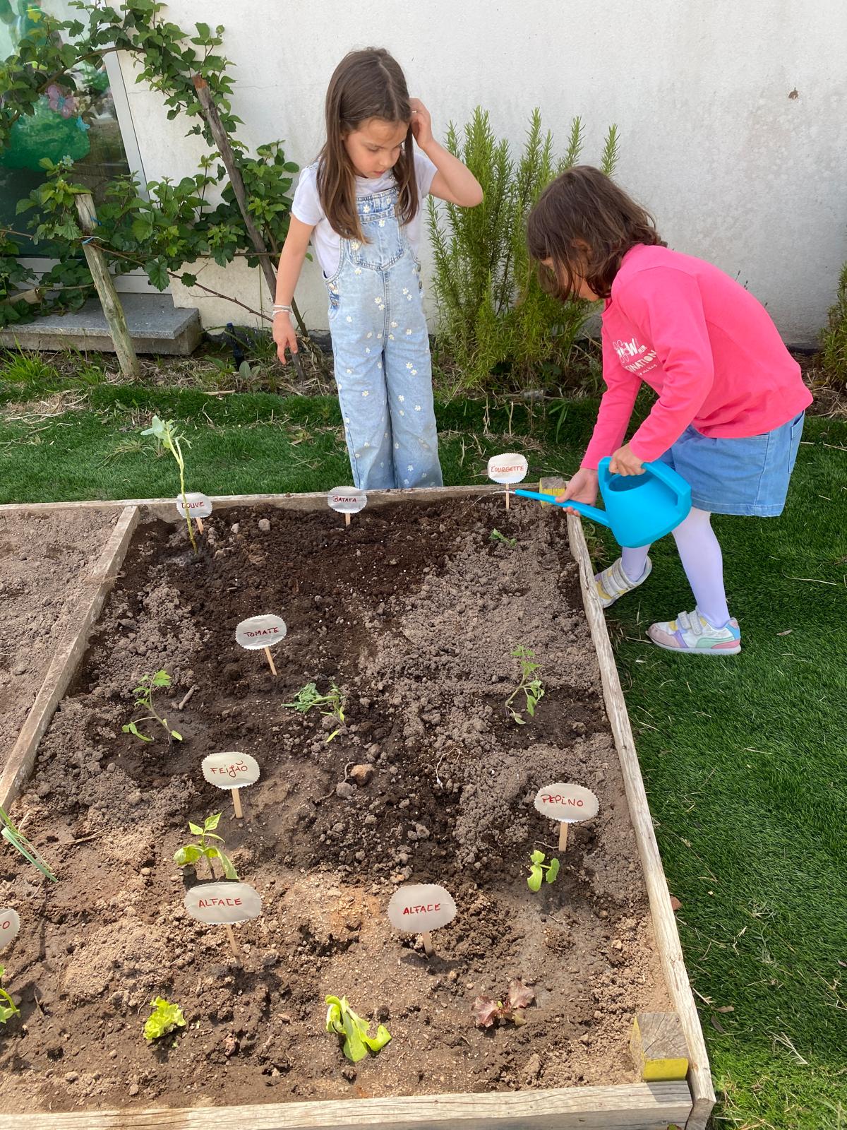 Rega regular das plantas da horta biológica.