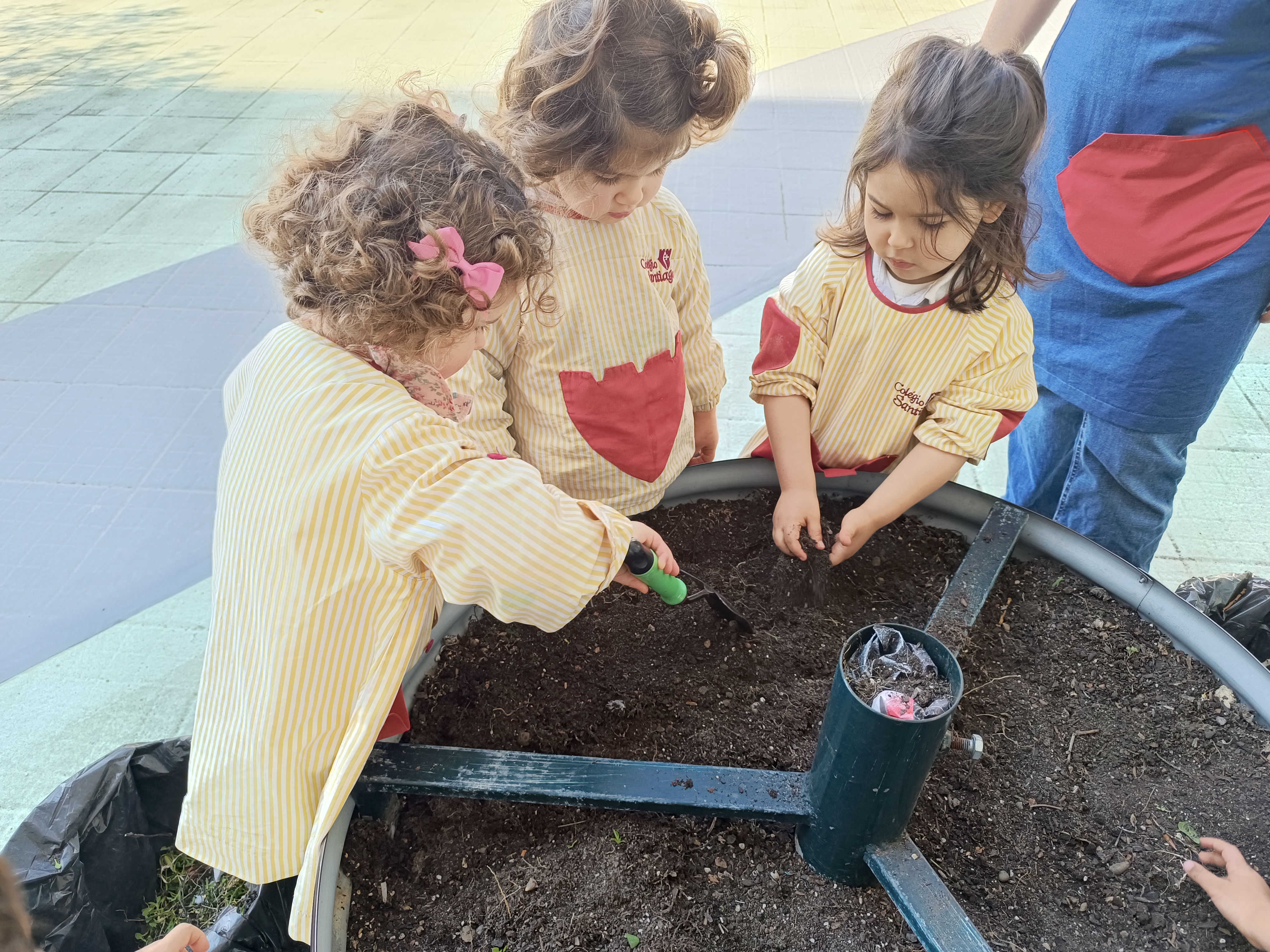 Plantações.