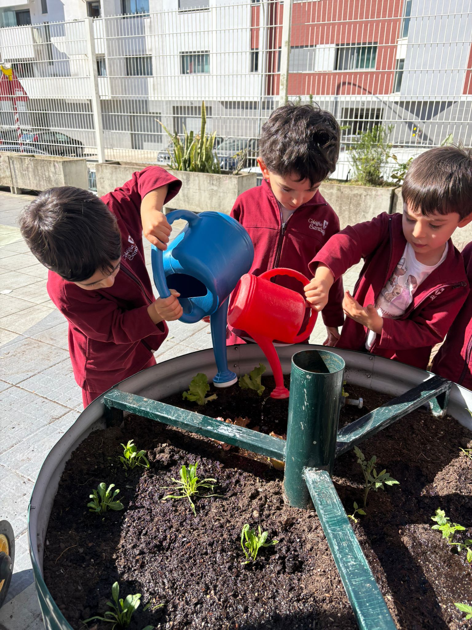 Plantações.