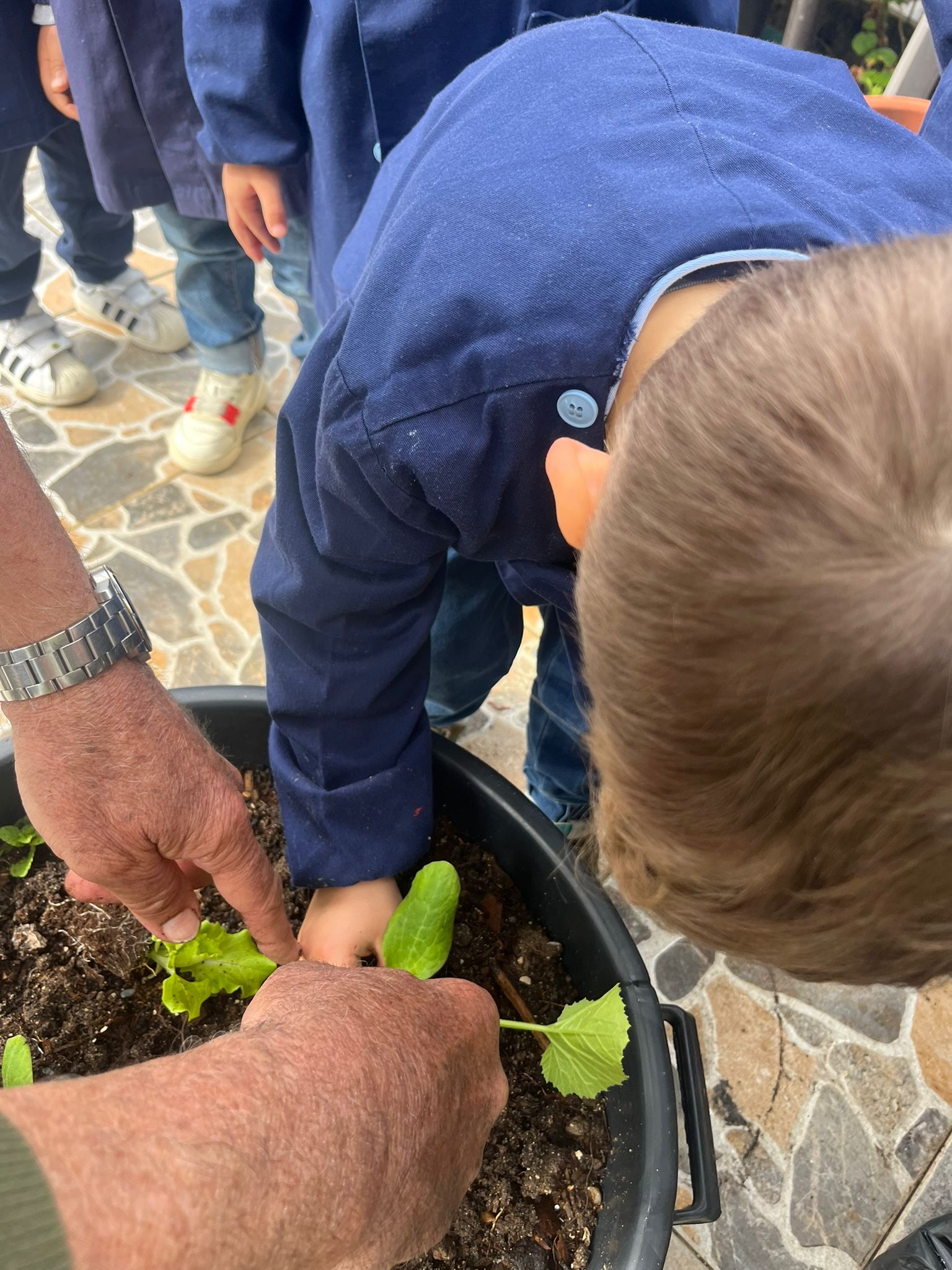 Alunos ativos na plantação da nossa horta Biológica