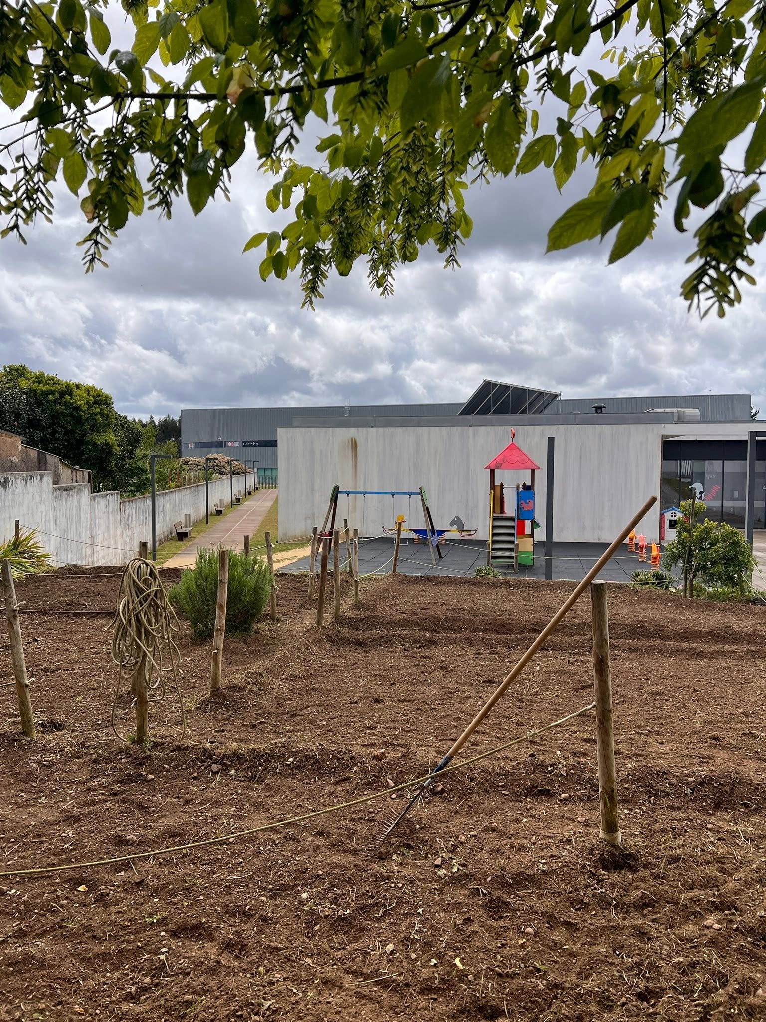 Plantação de Morangueiros.