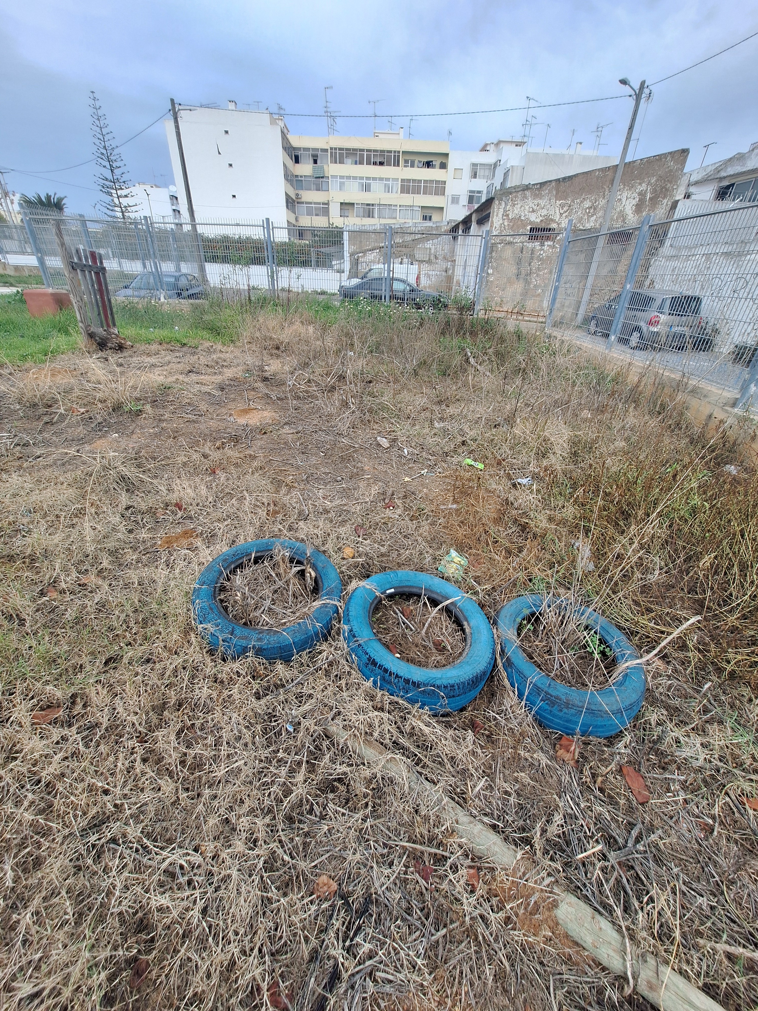 Terreno da horta por tratar visto de outro ângulo