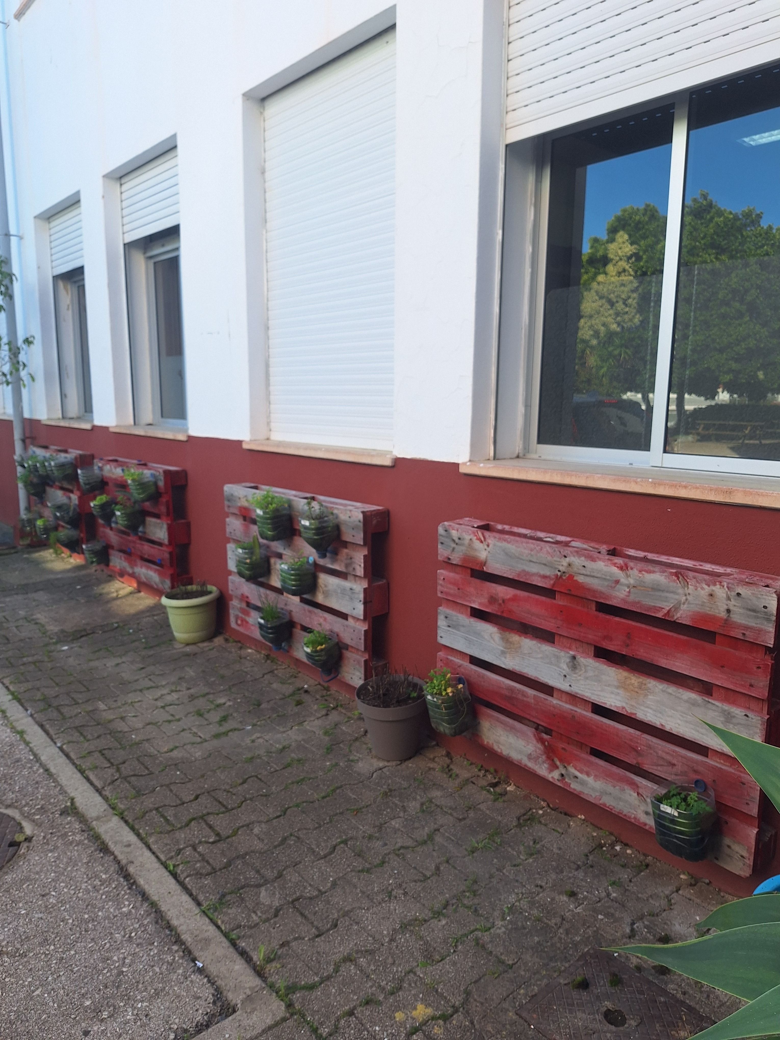 Horta vertical à entrada do edifício escolar, conta com quatro paletes e alguns vasos com ervas aromáticas (algumas já mortas e foram removidas, outras que se encontram do ano letivo anterior ainda lá plantadas).