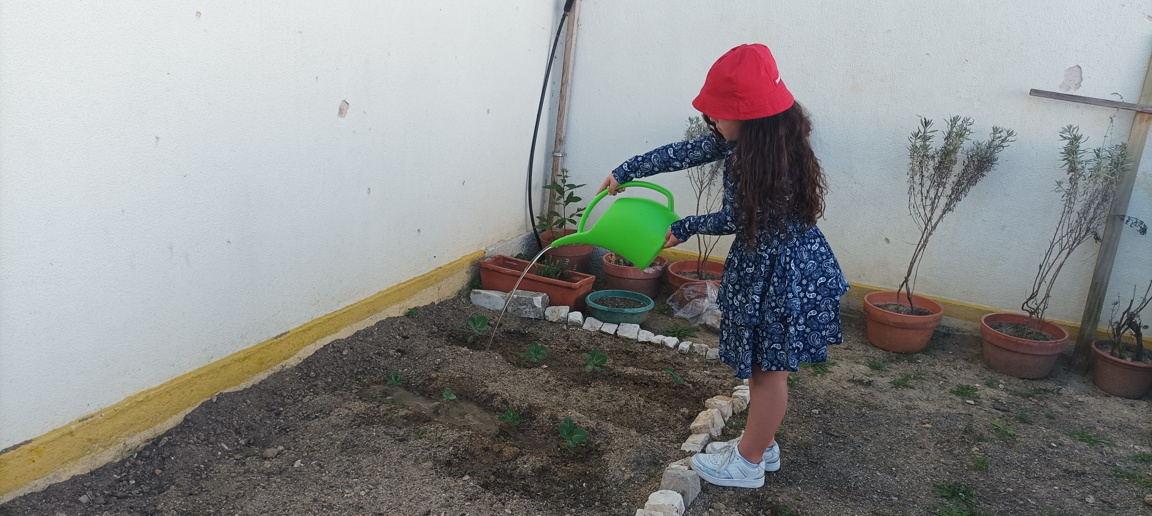 Rega da horta pelos alunos do Jardim de Infância e 1ºciclo