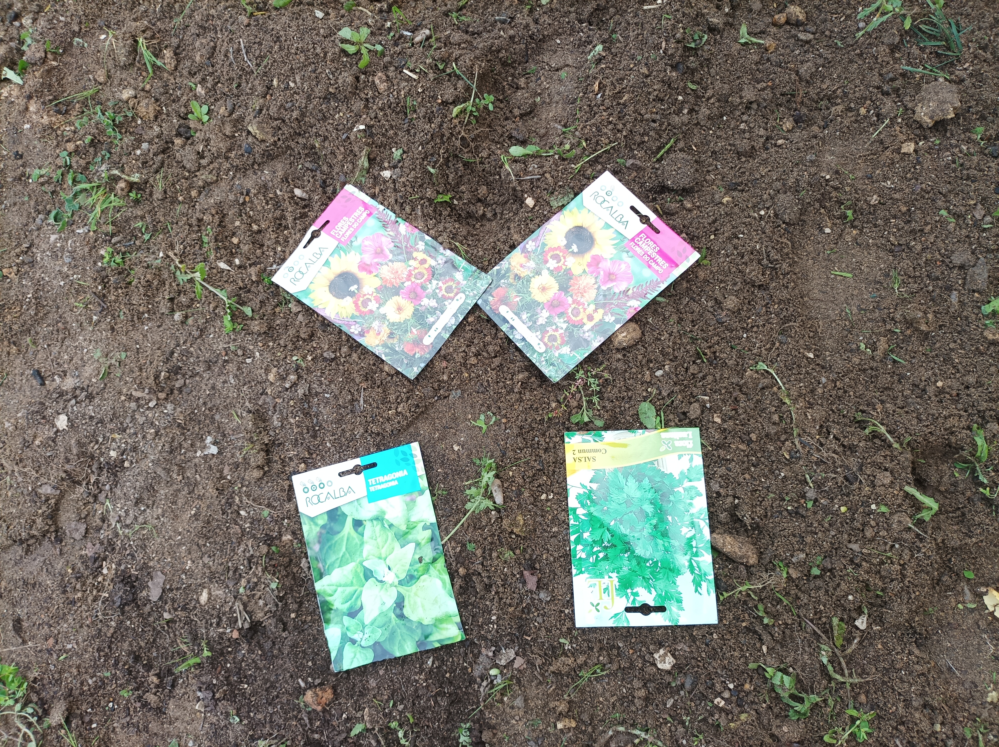 Sementes de salsa, flores polinizadoras e espinafres, oferecidas pelo Município.