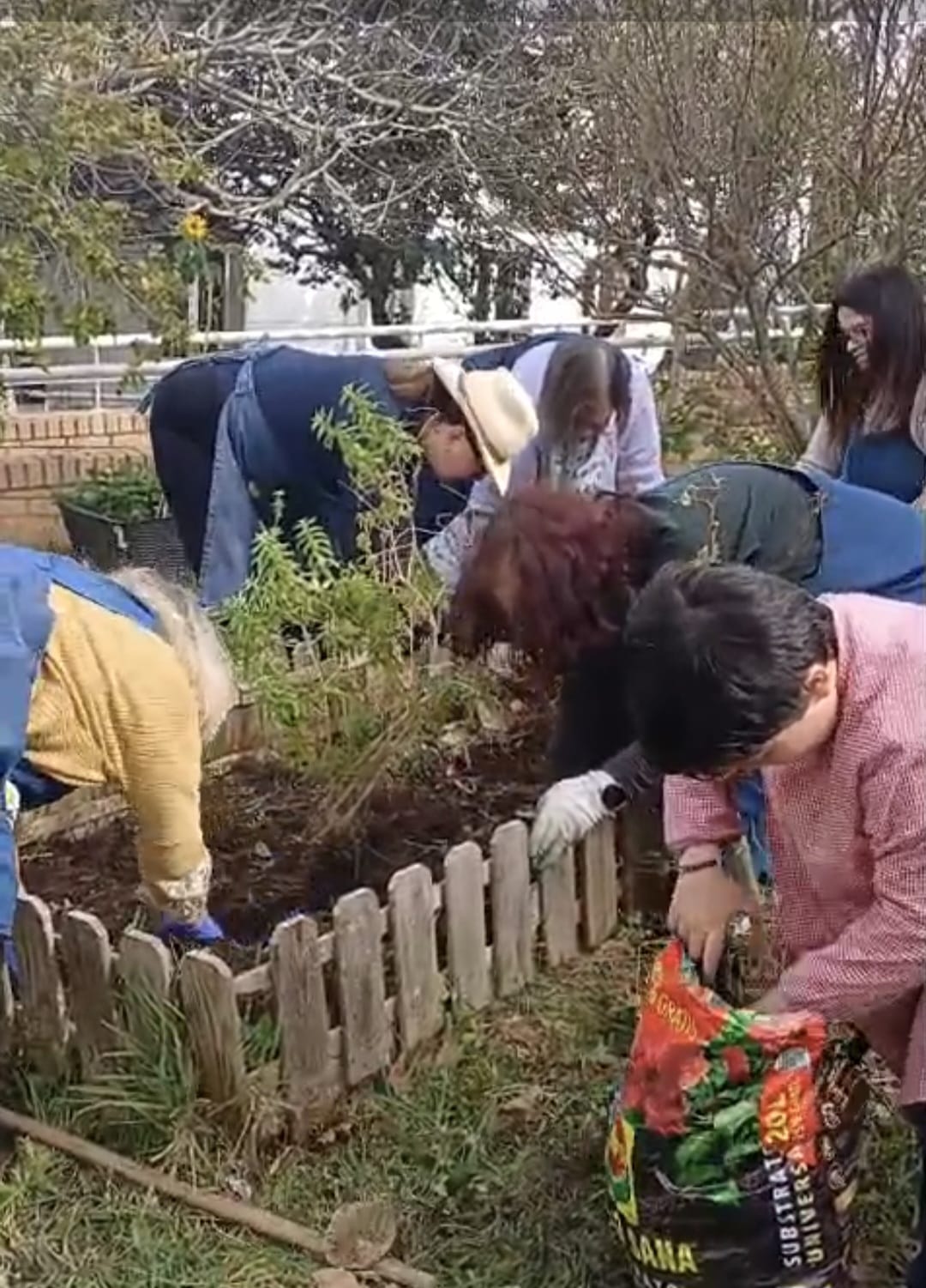 Preparação do espaço da horta
