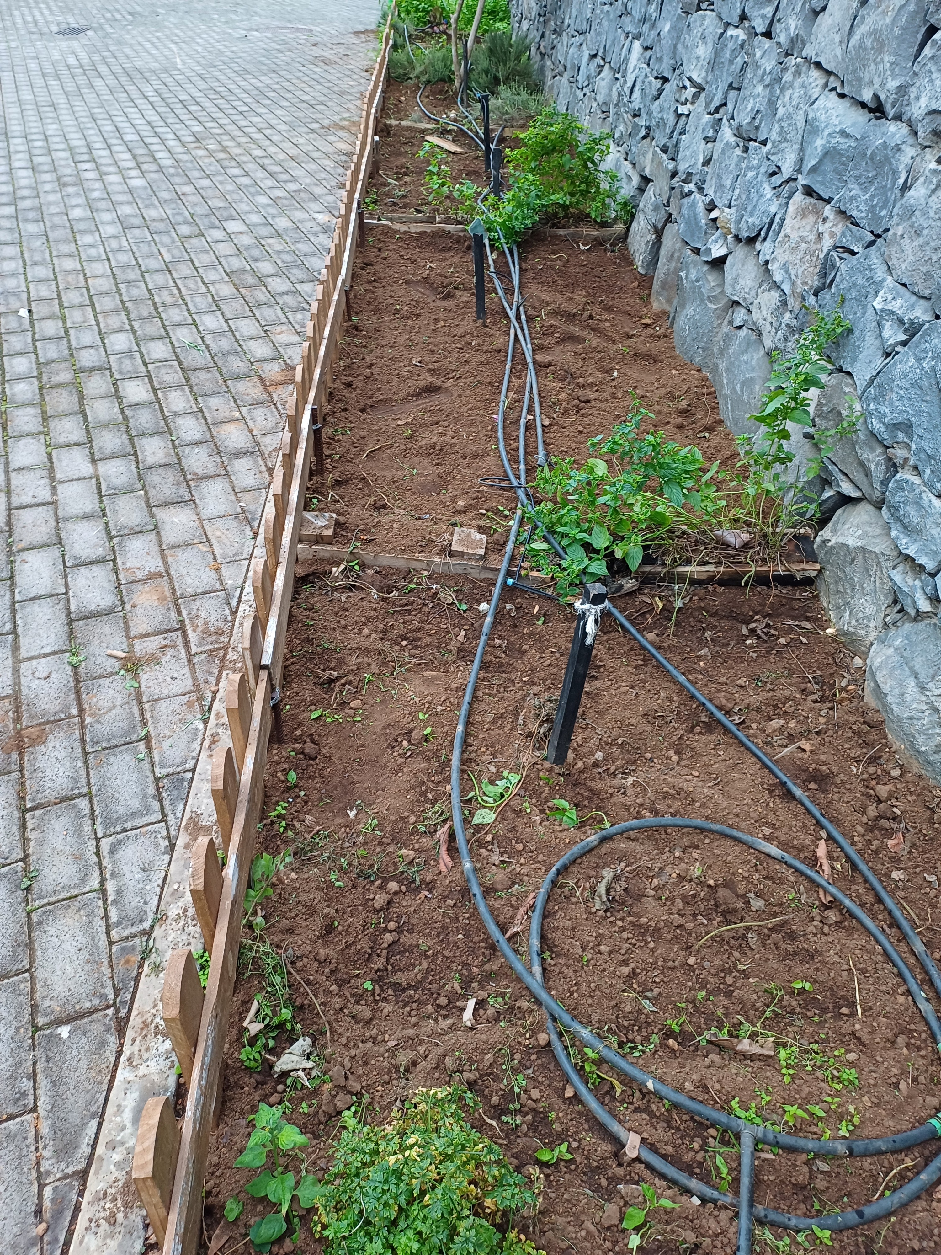 Preparação do solo