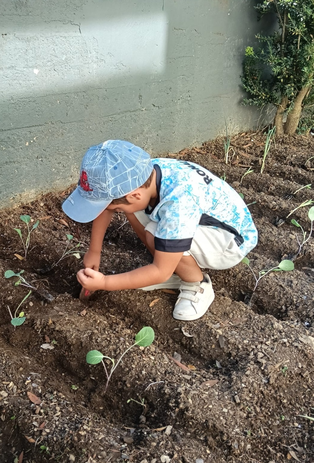 O  prazer de tocar na terra...