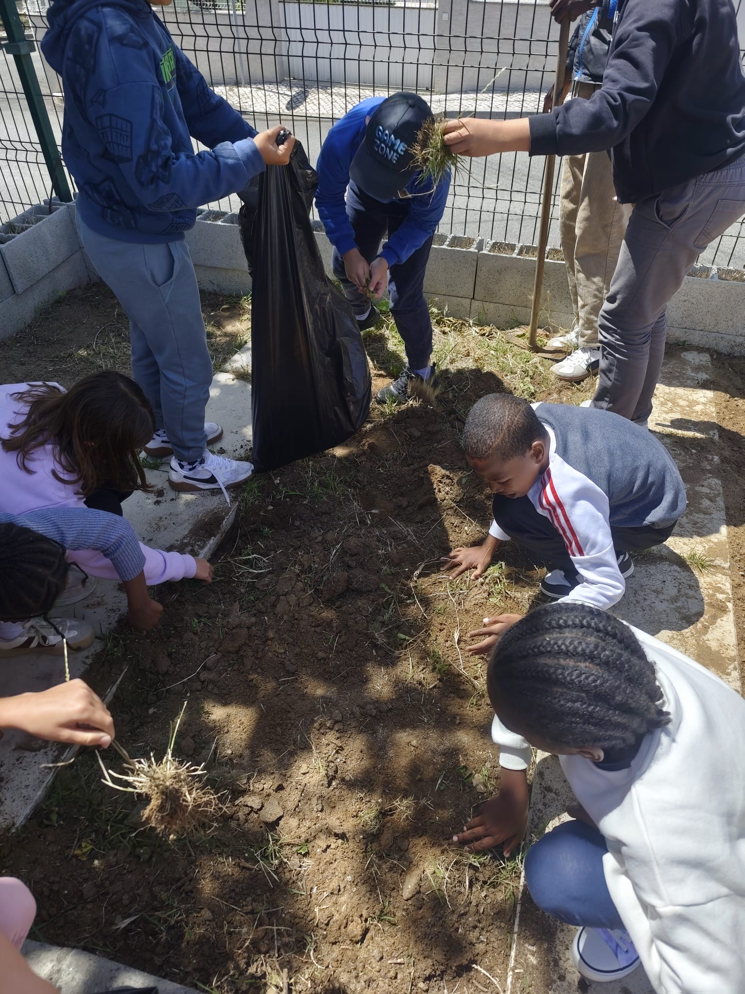 Limpeza do terreno por parte dos alunos: retirar as plantas que cresceram espontaneamente e revolver a terra, preparar o terreno para o plantio, aumentando sua oxigenação e facilitando o crescimento das plantas.