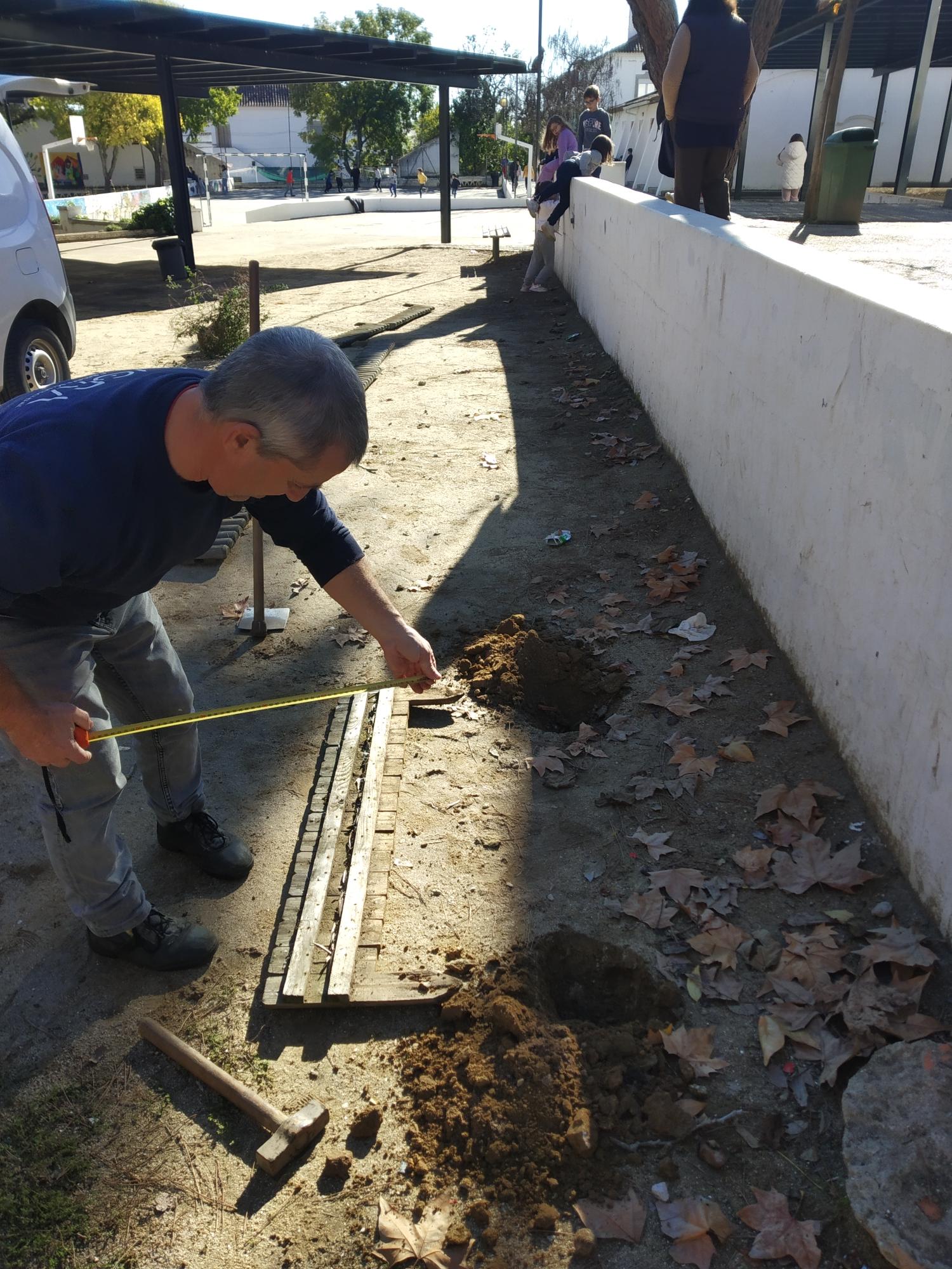 Canteiro-Piloto: Em articulação com a Autarquia, foi criado um Canteiro-Piloto, no recreio da nossa escola, com as seguintes plantas autóctones: estevas, sargaços, rosmaninhos e roselhas, como forma de reduzir a nossa pegada ambiental.