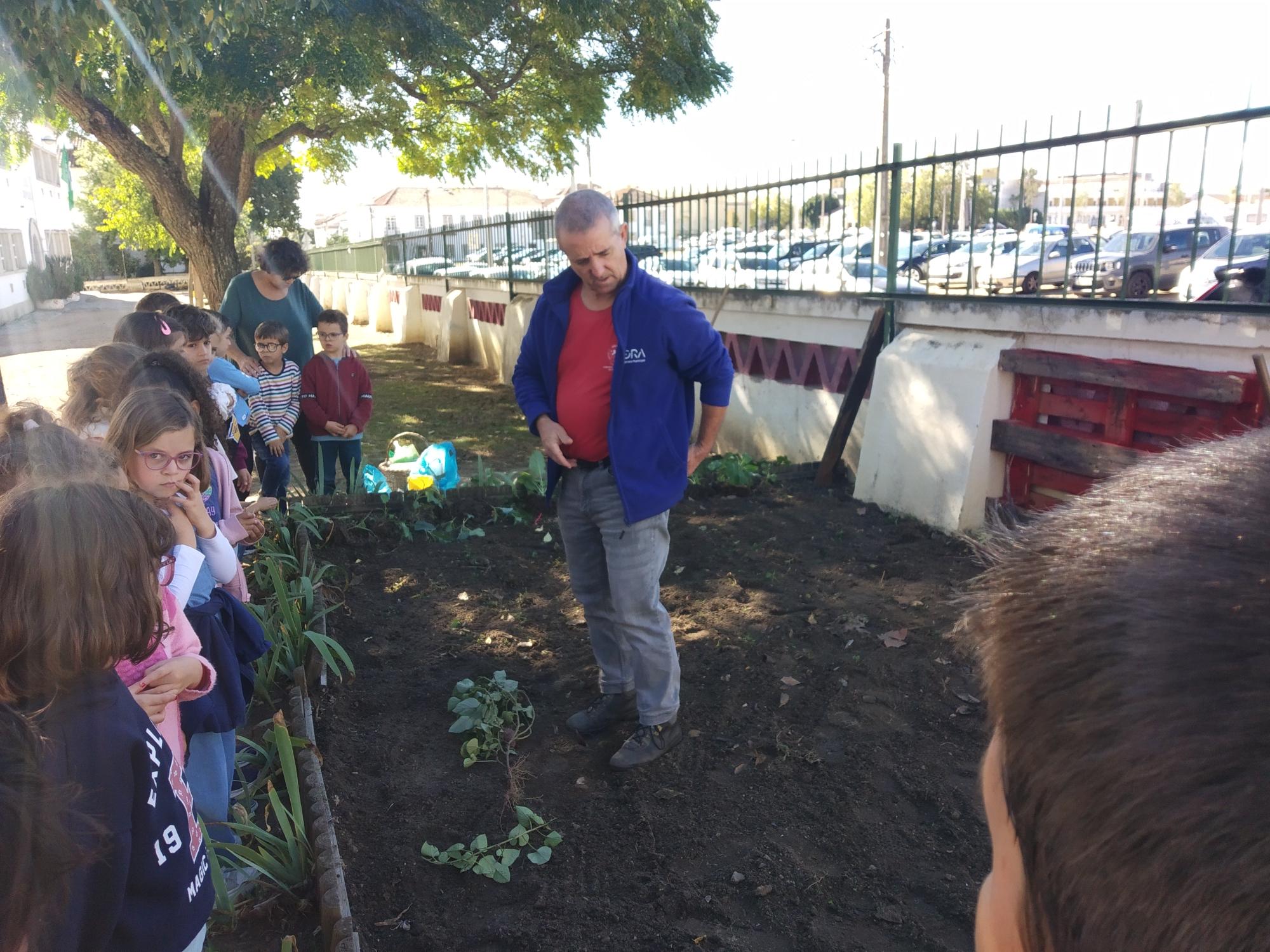Semeio de ervilhas, rabanetes, alhos, coentros e salsa.