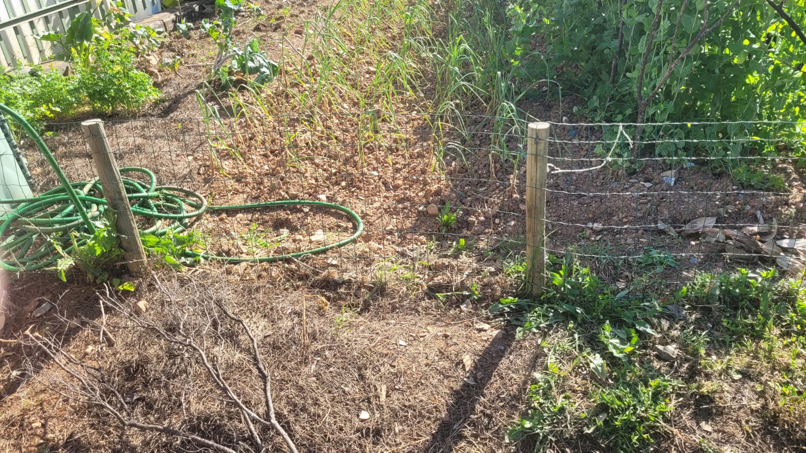 Preparando o terreno.