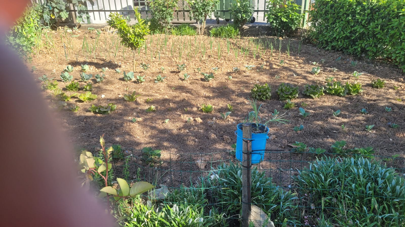 Preparando o terreno.