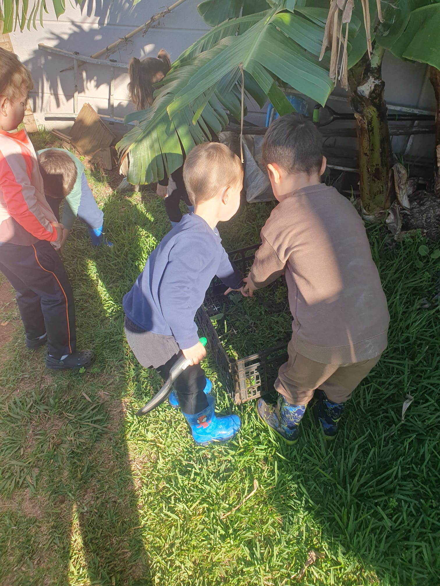 Preparação da horta