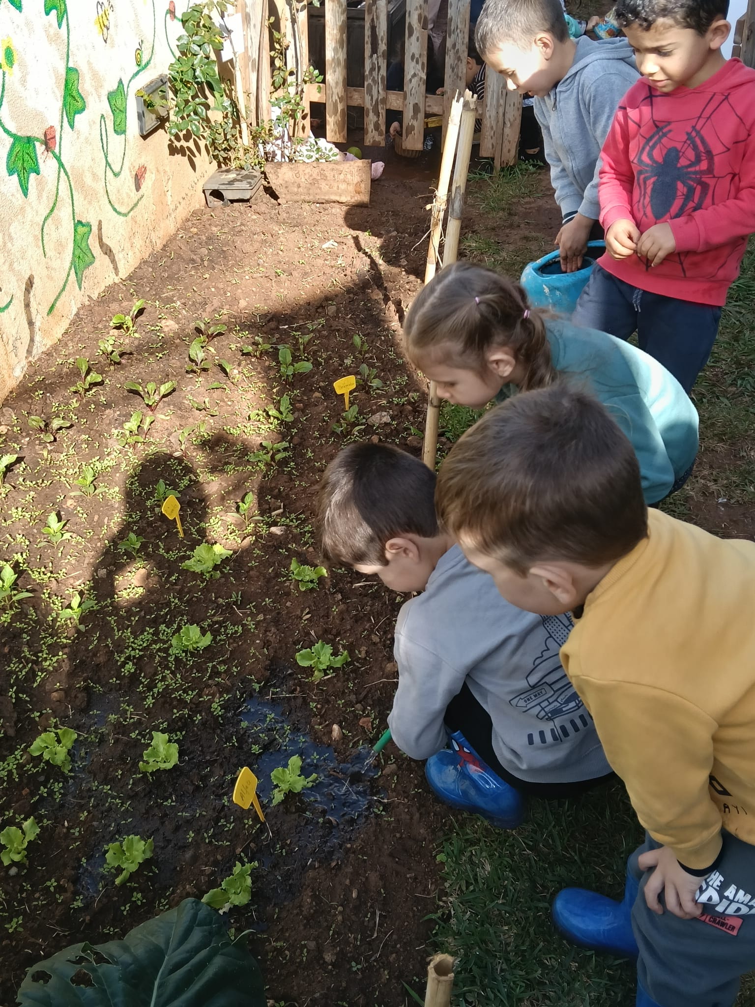 Manutenção da horta