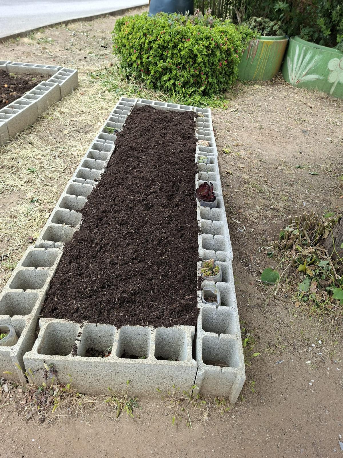 Horta