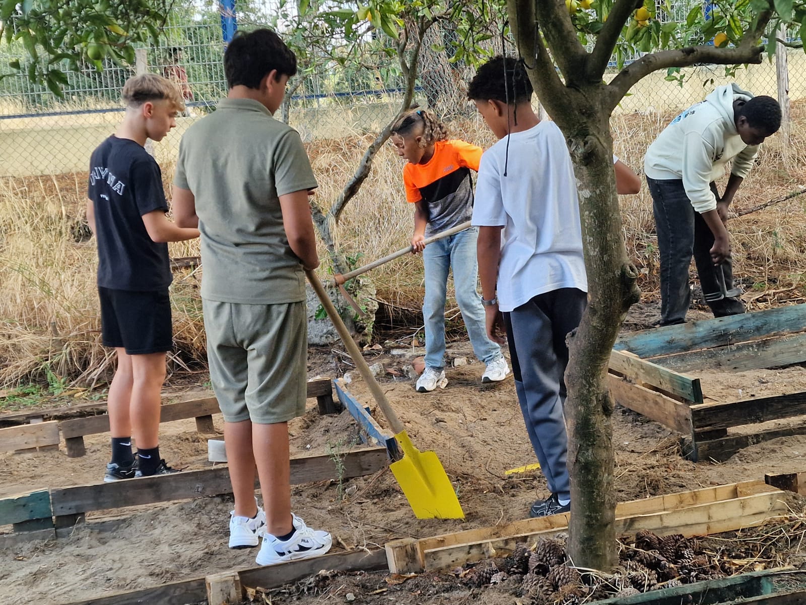 Alunos do 8º ano a trabalhar na horta.