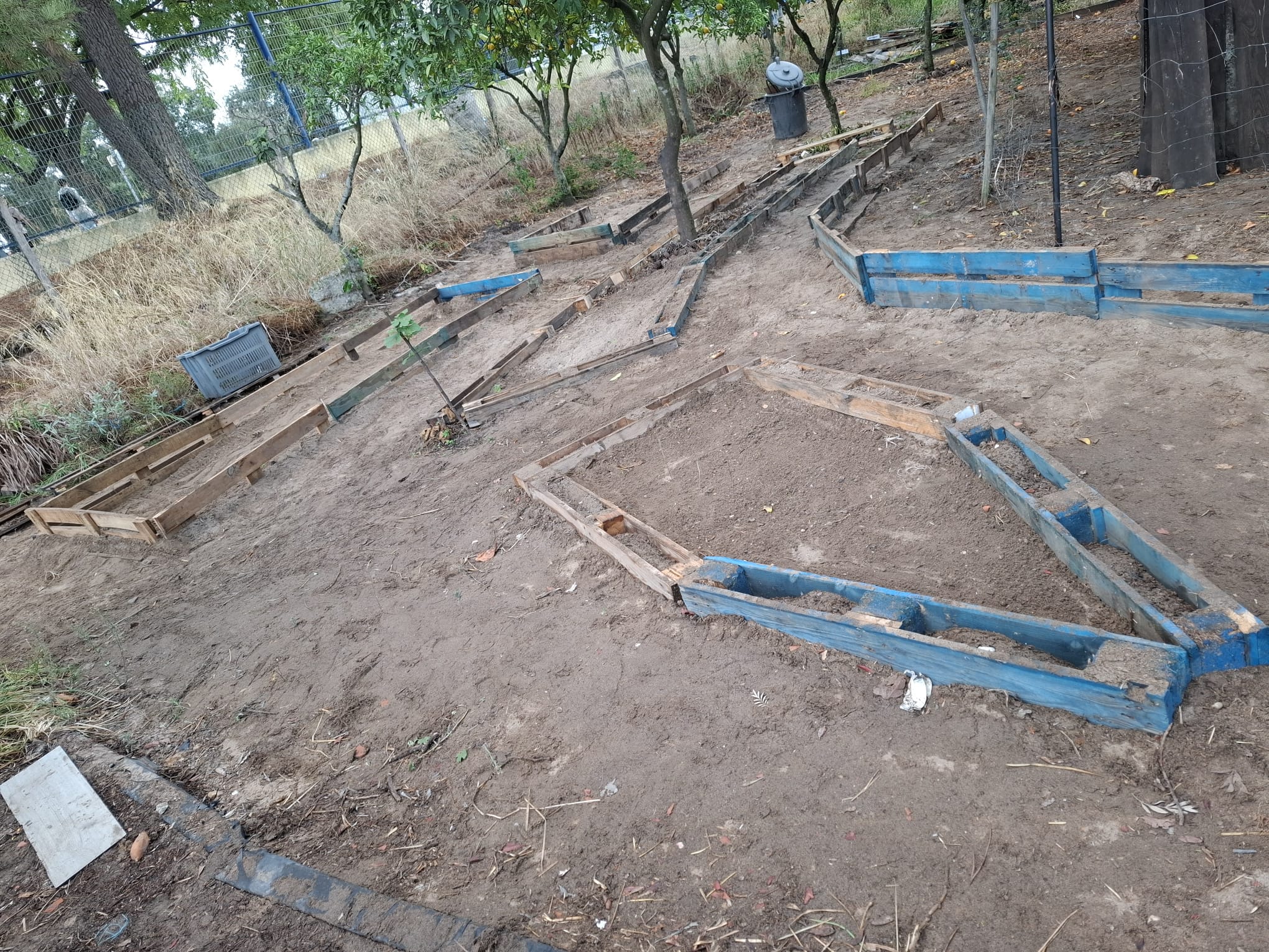 Início da horta, após definição de espaços.