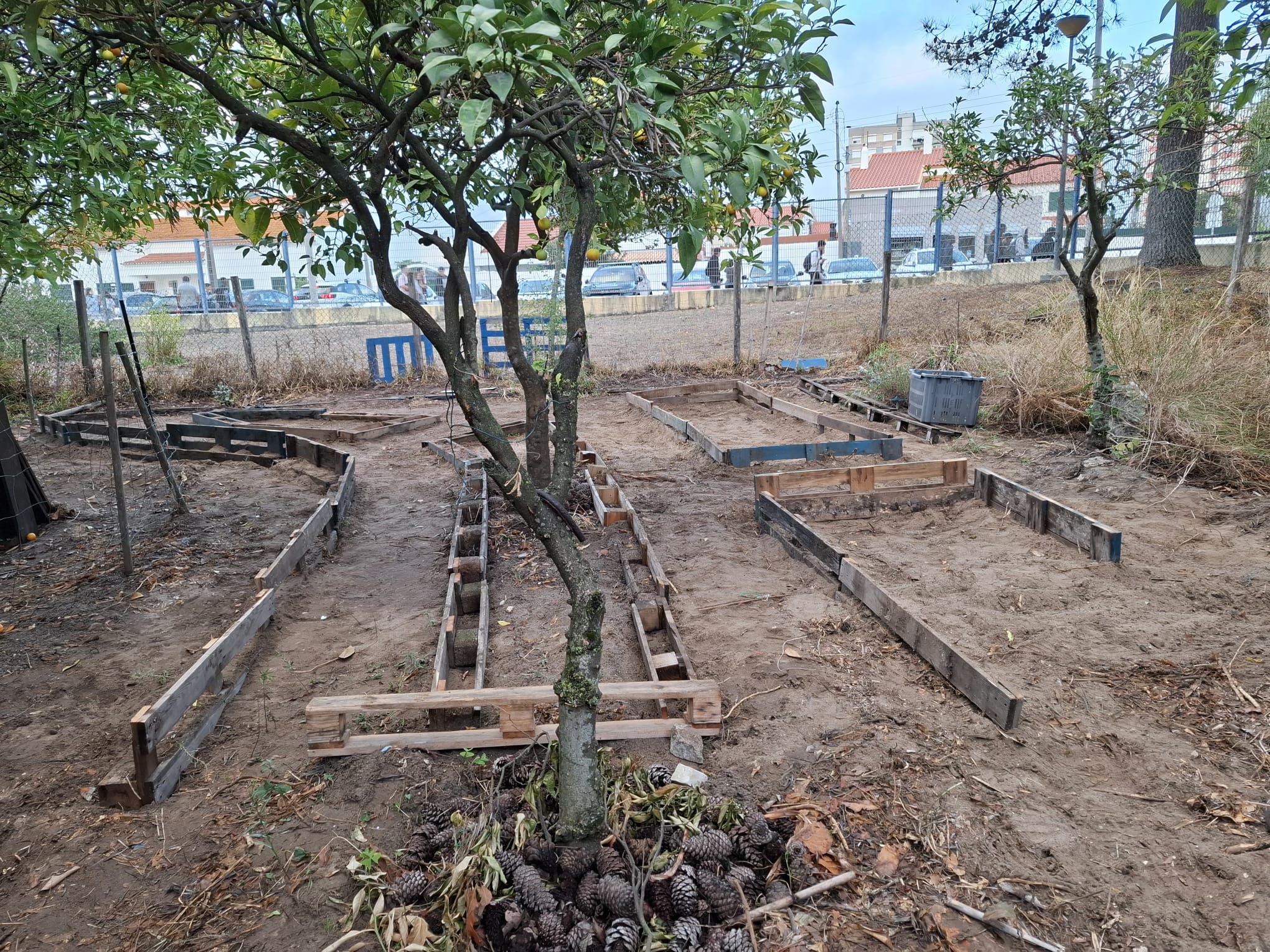 Montagem dos espaços da horta.