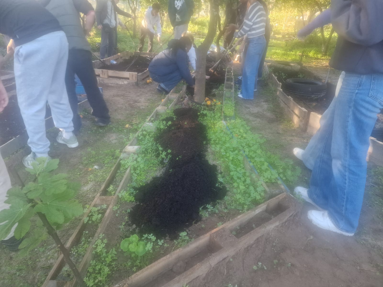 Alunos do 9º ano a preparar culturas.