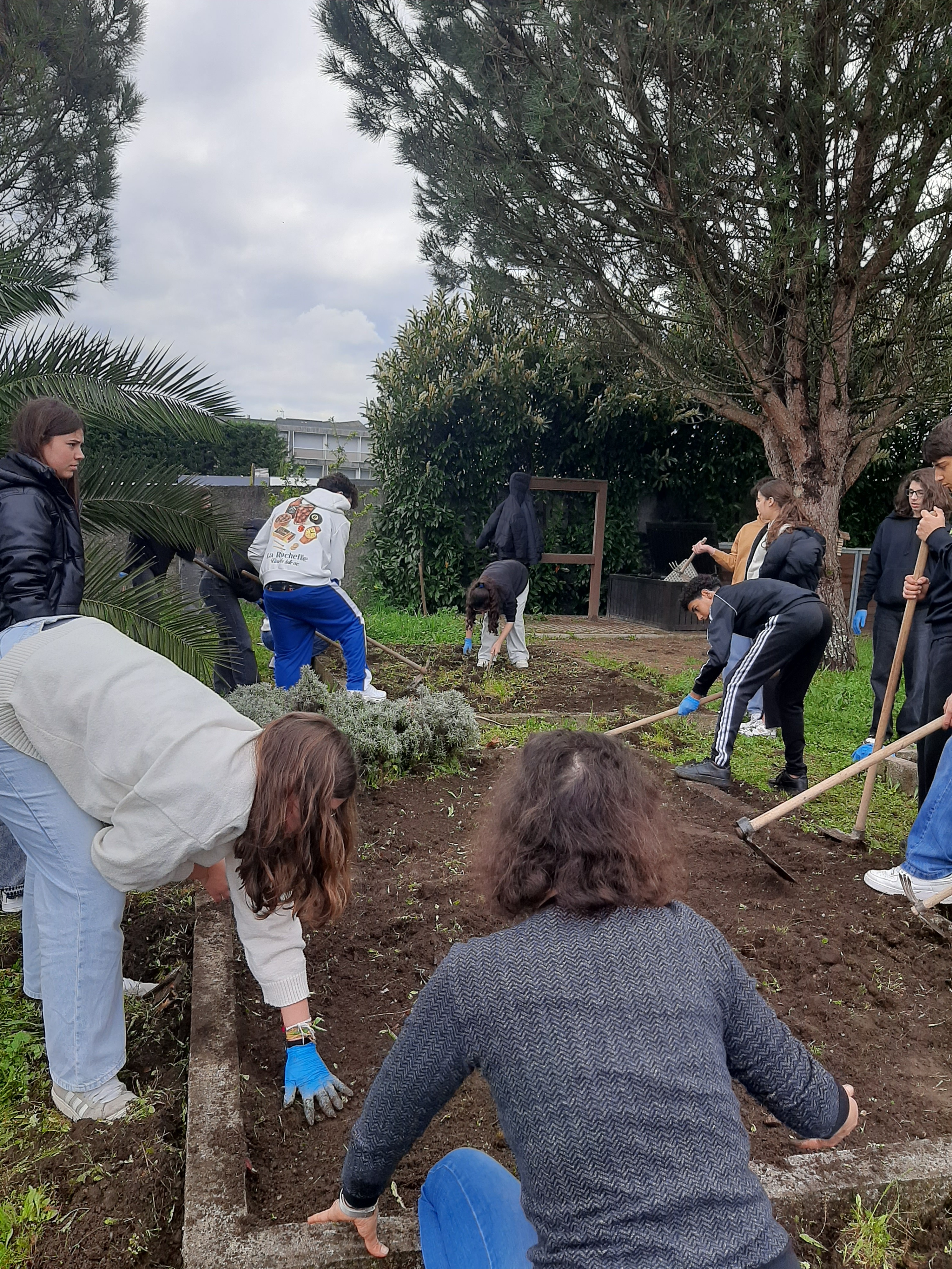 Remoção de ervas silvestres por parte dos alunos do 9º A integrados no projeto Hortas Bio e estão a desenvolver um DAC neste âmbito.